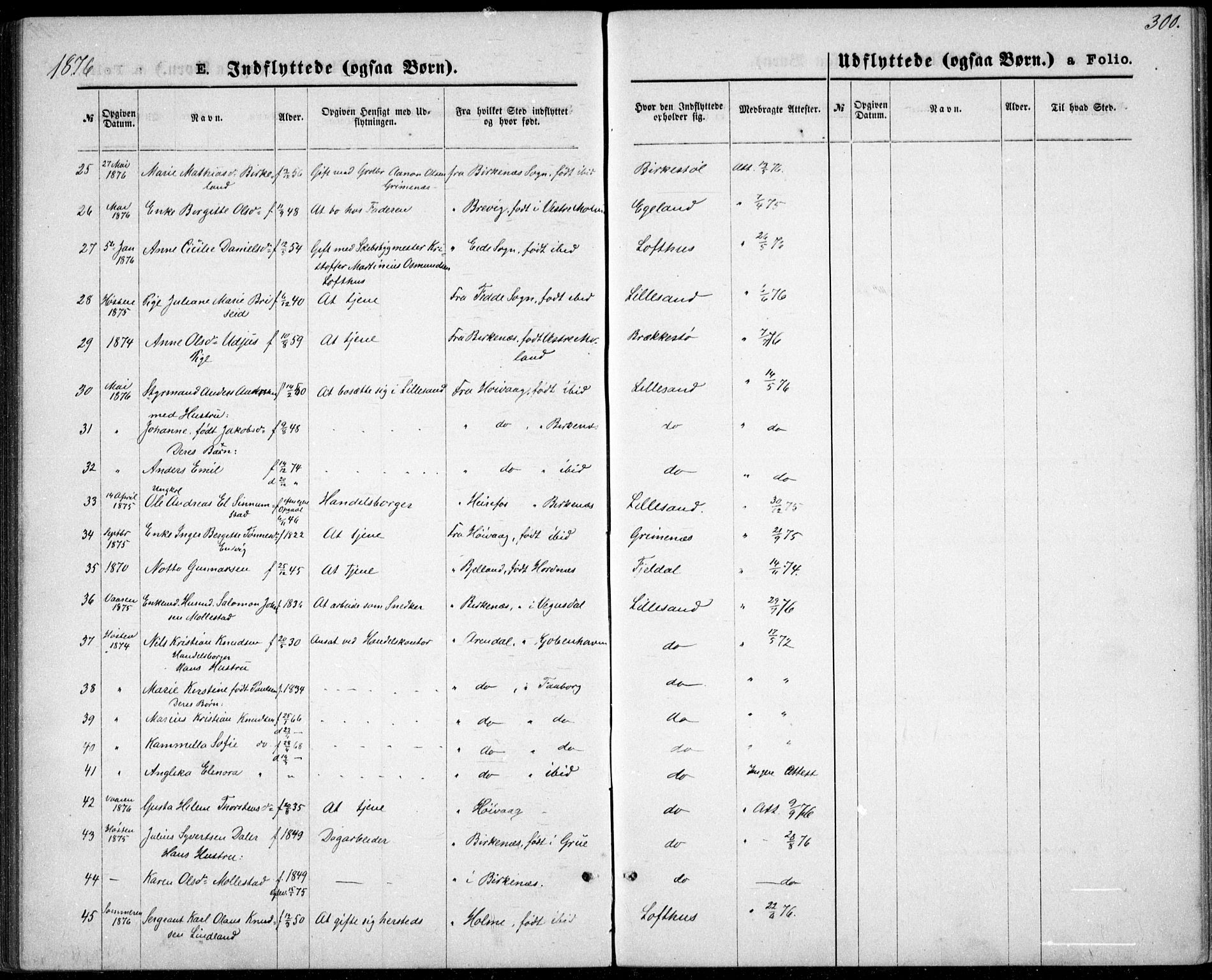 Vestre Moland sokneprestkontor, SAK/1111-0046/F/Fb/Fbb/L0005: Parish register (copy) no. B 5, 1872-1883, p. 300