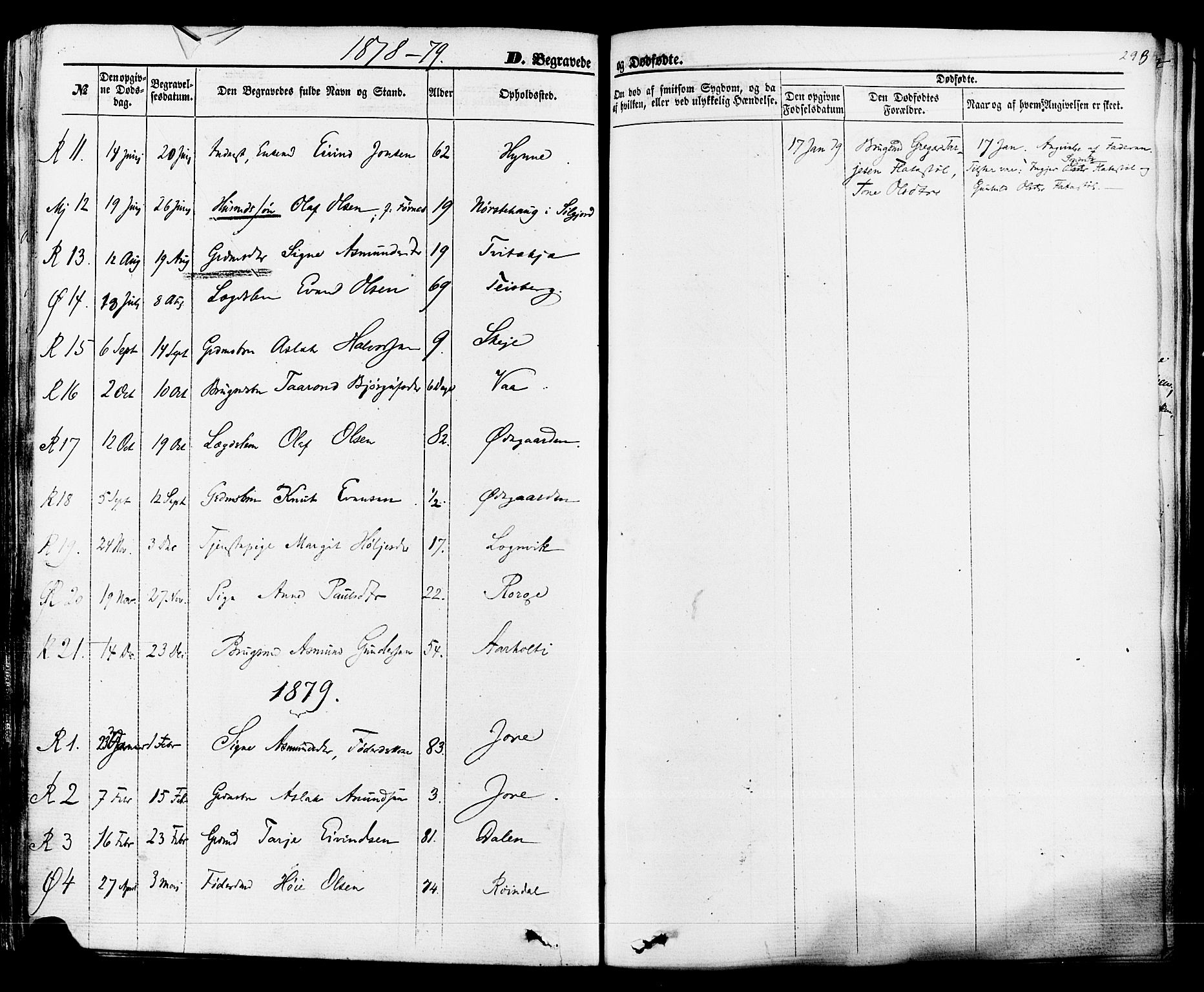 Rauland kirkebøker, SAKO/A-292/F/Fa/L0003: Parish register (official) no. 3, 1859-1886, p. 293