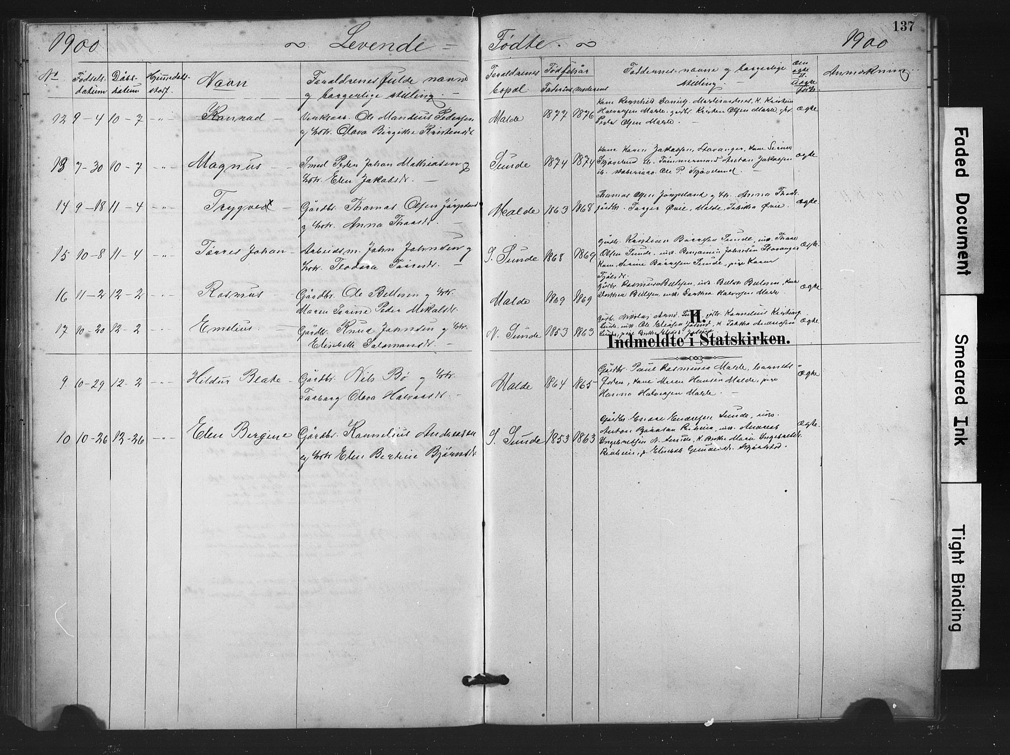 Håland sokneprestkontor, AV/SAST-A-101802/001/30BA/L0011: Parish register (official) no. A 10, 1883-1900, p. 137