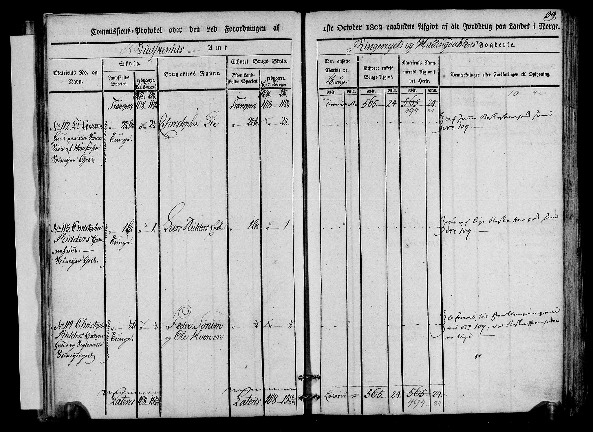 Rentekammeret inntil 1814, Realistisk ordnet avdeling, AV/RA-EA-4070/N/Ne/Nea/L0045: Ringerike og Hallingdal fogderi. Kommisjonsprotokoll for Norderhov prestegjeld, 1803, p. 42
