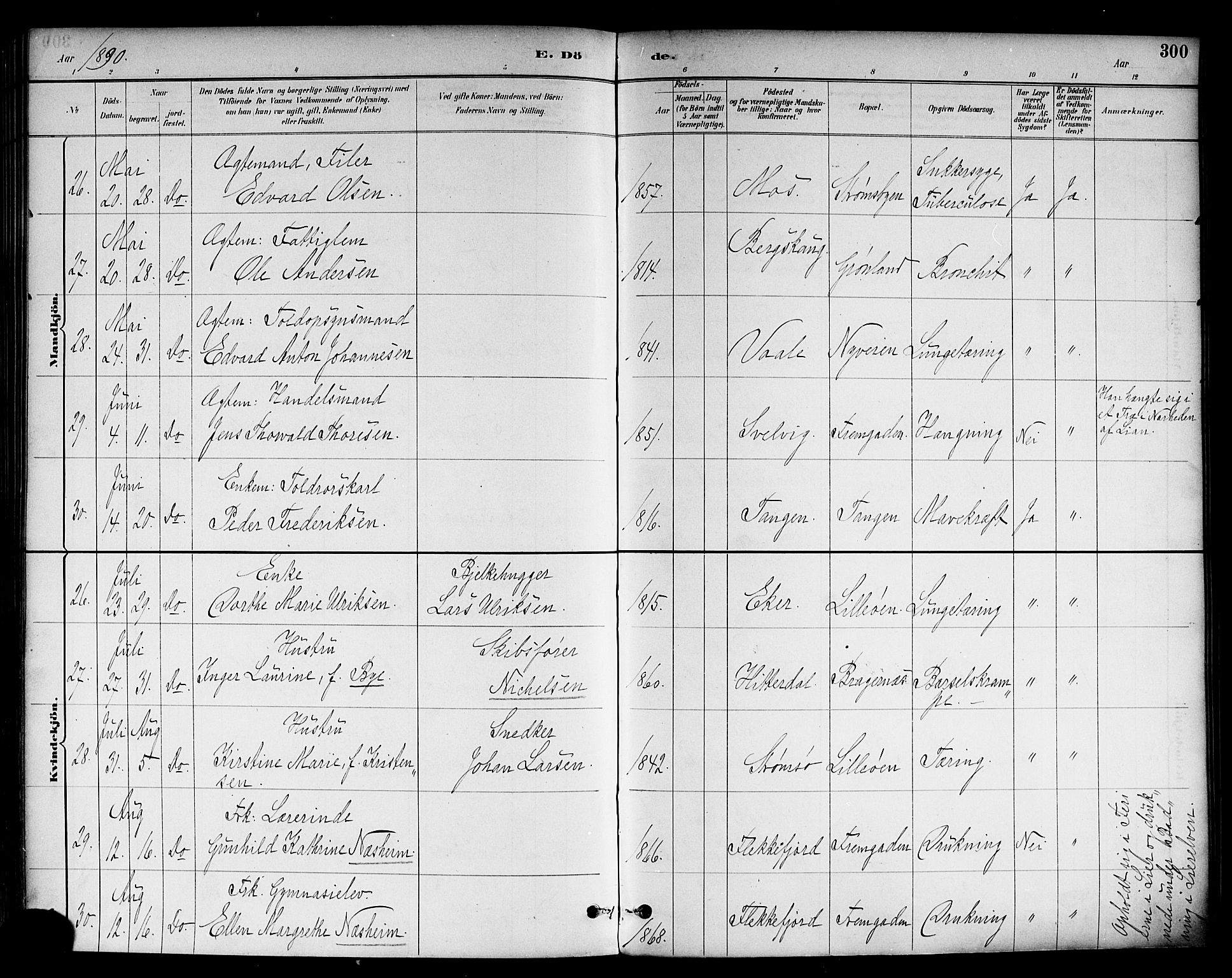 Strømsø kirkebøker, SAKO/A-246/F/Fa/L0023: Parish register (official) no. I 23, 1885-1894, p. 300