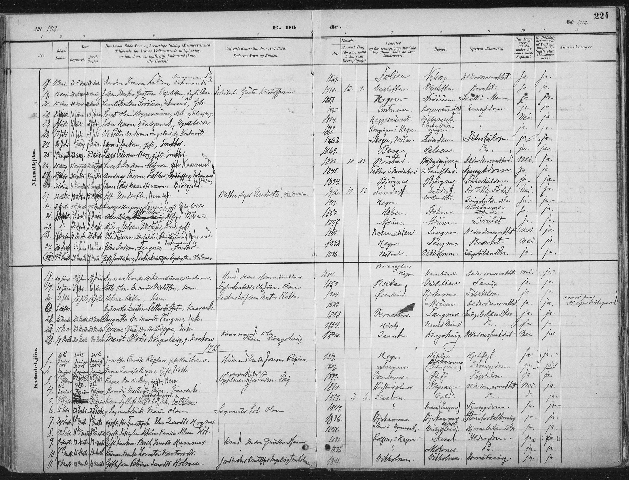 Ministerialprotokoller, klokkerbøker og fødselsregistre - Nord-Trøndelag, SAT/A-1458/709/L0082: Parish register (official) no. 709A22, 1896-1916, p. 224