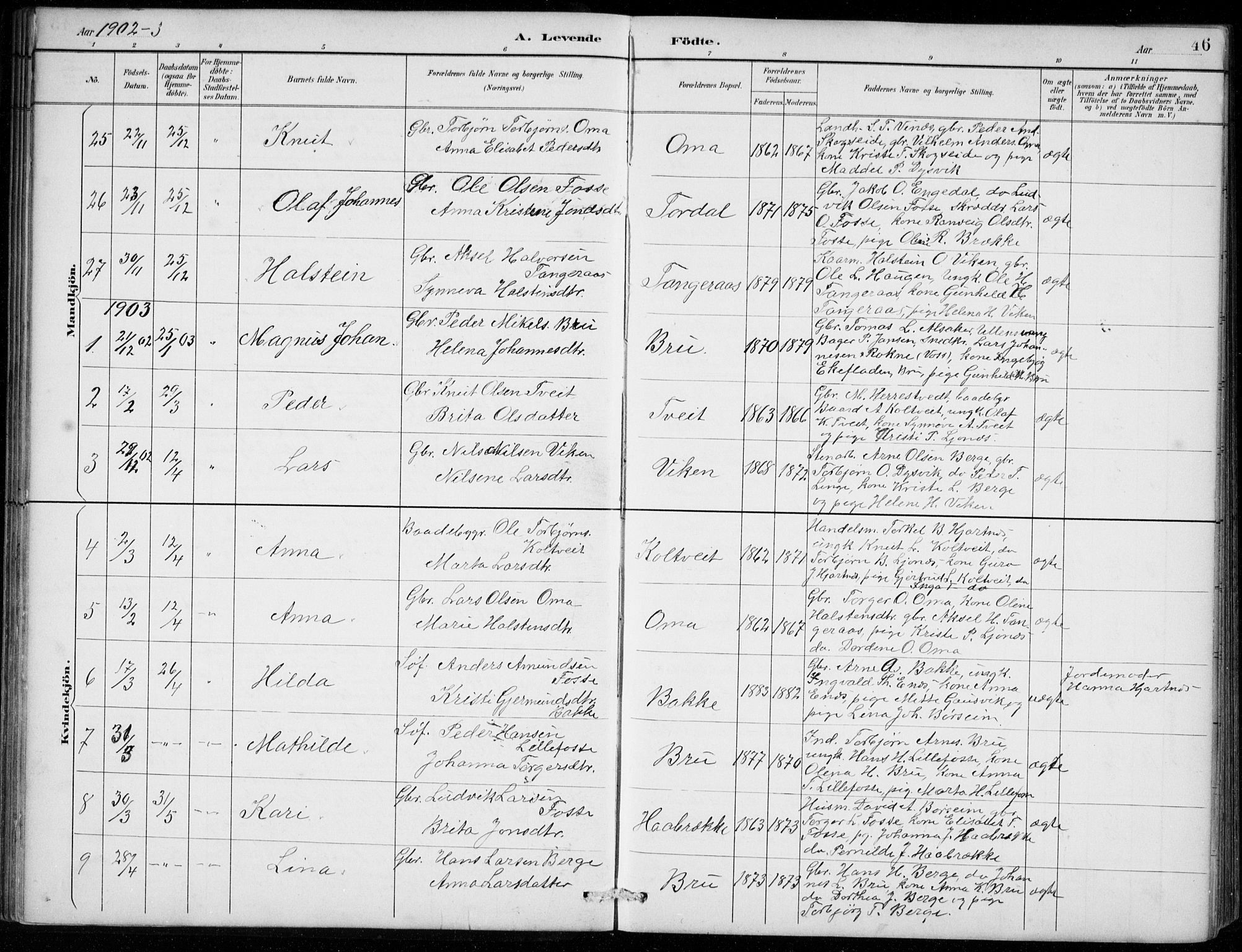 Strandebarm sokneprestembete, AV/SAB-A-78401/H/Hab: Parish register (copy) no. B  1, 1891-1914, p. 46