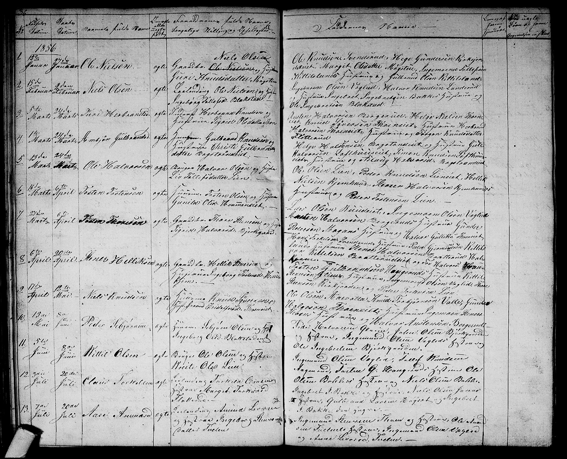 Rollag kirkebøker, SAKO/A-240/G/Gb/L0001: Parish register (copy) no. II 1, 1836-1877, p. 36