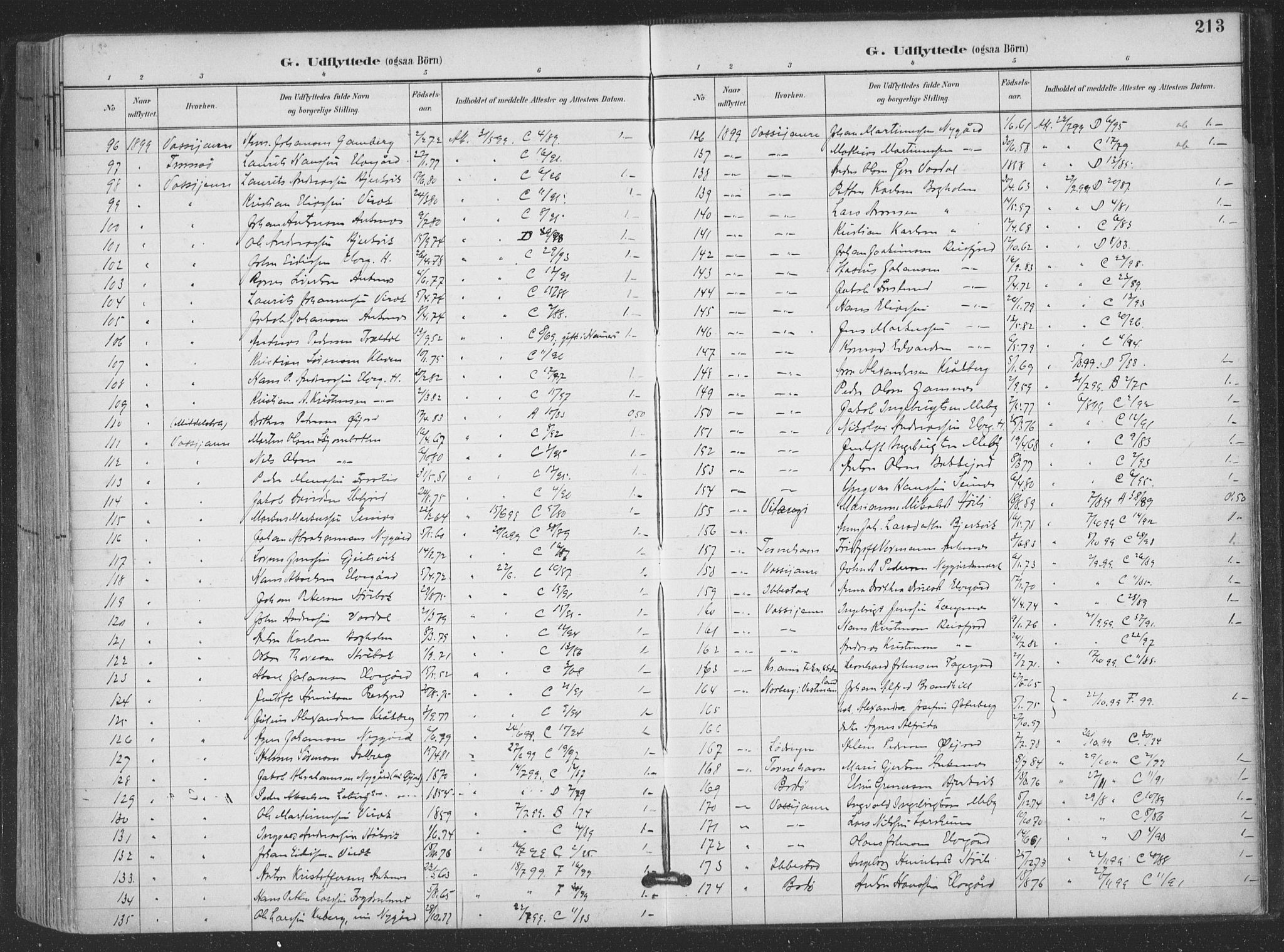 Ministerialprotokoller, klokkerbøker og fødselsregistre - Nordland, AV/SAT-A-1459/866/L0939: Parish register (official) no. 866A02, 1894-1906, p. 213