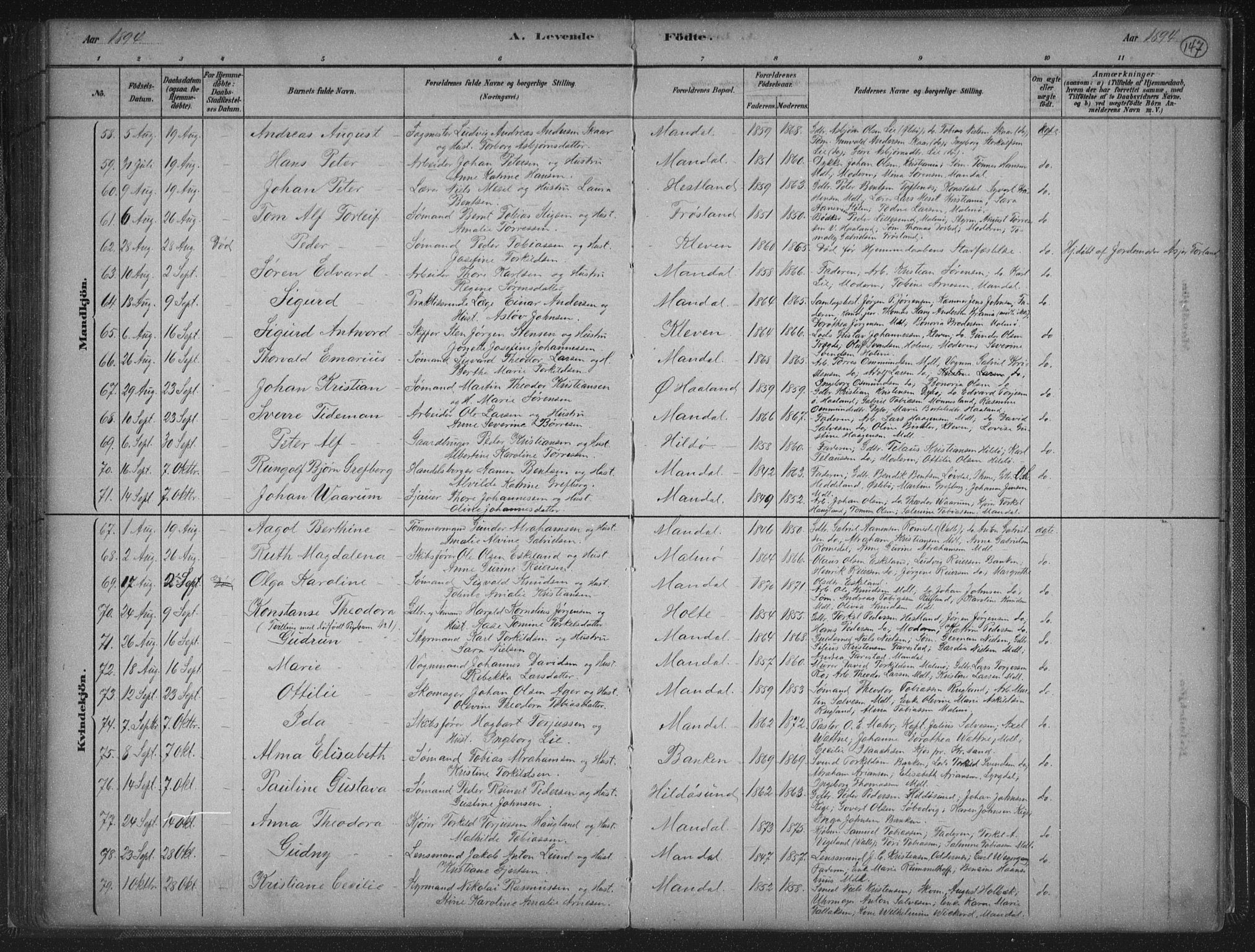 Mandal sokneprestkontor, AV/SAK-1111-0030/F/Fb/Fba/L0011: Parish register (copy) no. B 5, 1880-1898, p. 147