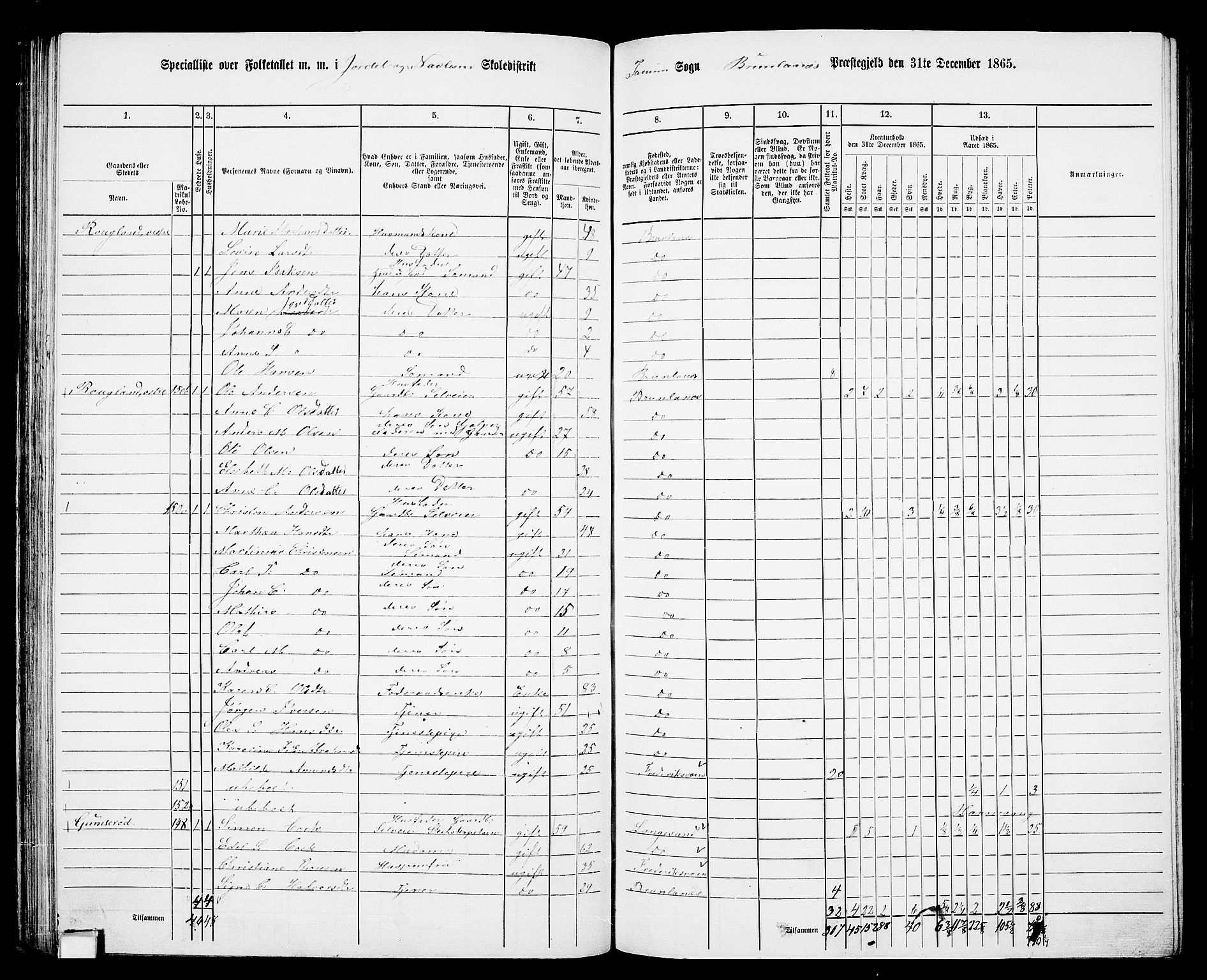 RA, 1865 census for Brunlanes, 1865, p. 78