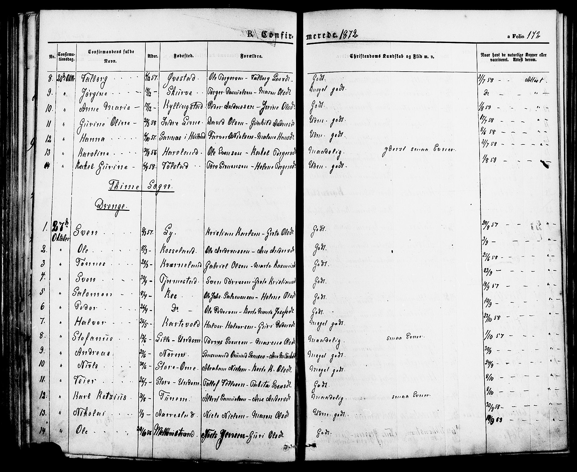 Lye sokneprestkontor, AV/SAST-A-101794/001/30BA/L0008: Parish register (official) no. A 7, 1872-1881, p. 172