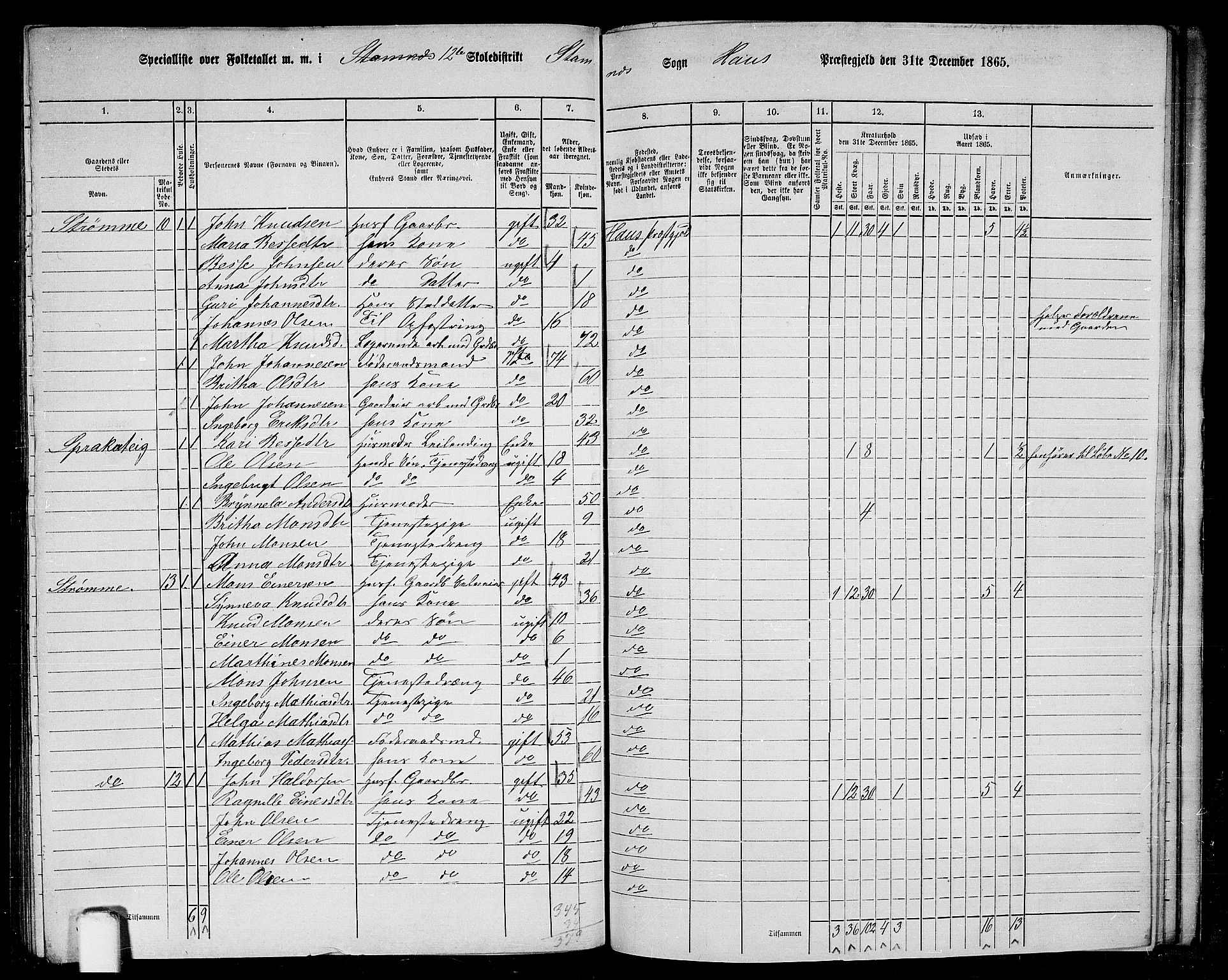 RA, 1865 census for Haus, 1865, p. 246