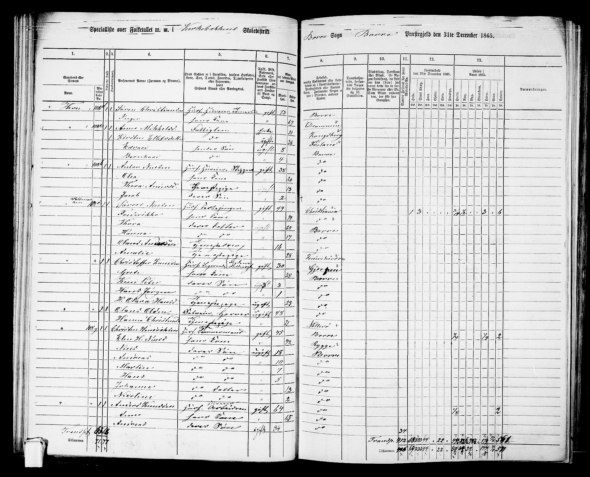 RA, 1865 census for Borre, 1865, p. 79