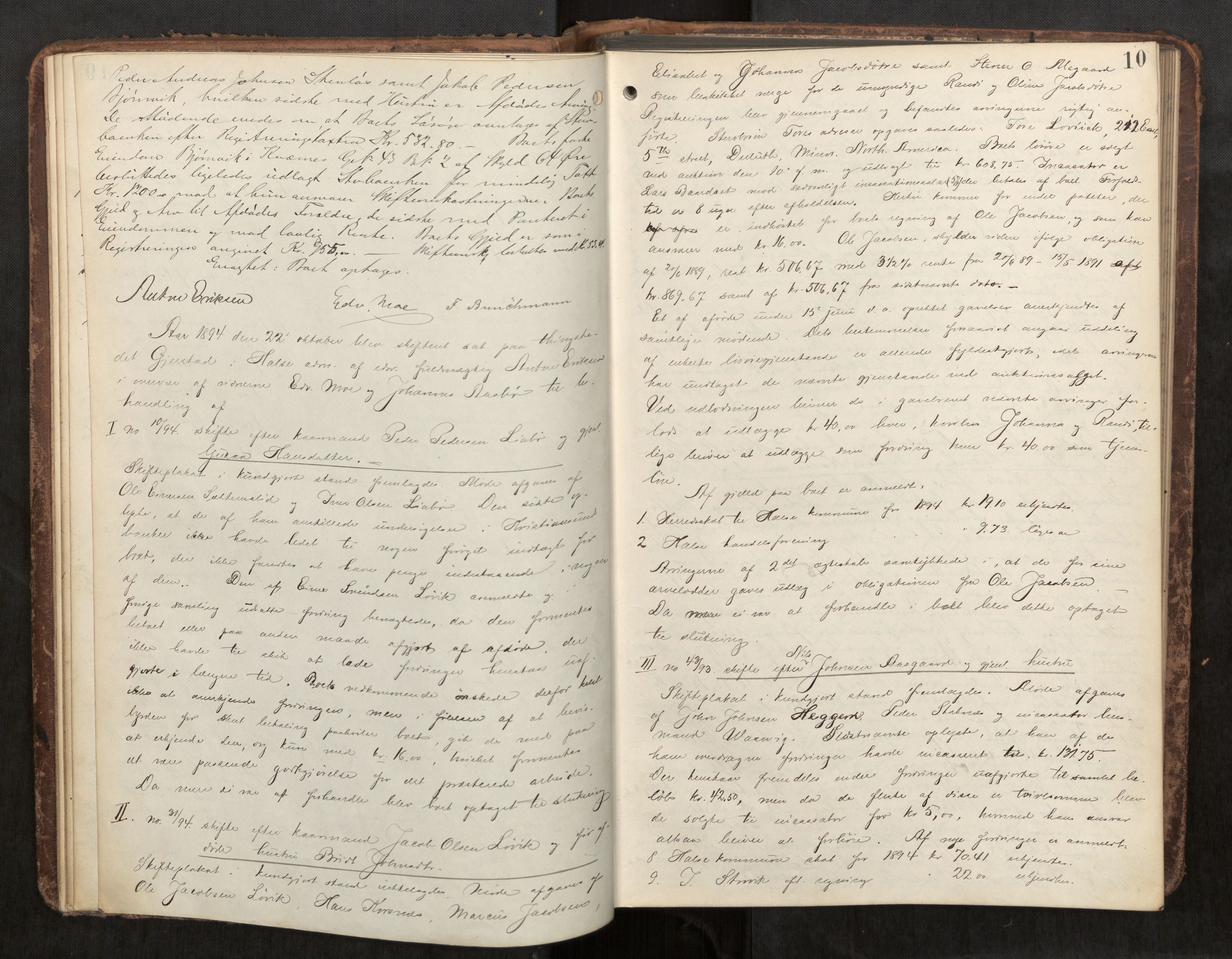Nordmøre sorenskriveri, AV/SAT-A-4132/1/3/3B/L0006: Forhandlingsprotokoll nr. 06, 1894-1900, p. 10