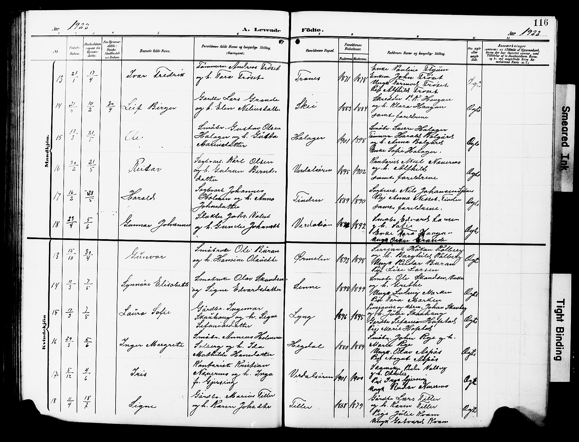 Ministerialprotokoller, klokkerbøker og fødselsregistre - Nord-Trøndelag, AV/SAT-A-1458/723/L0258: Parish register (copy) no. 723C06, 1908-1927, p. 116