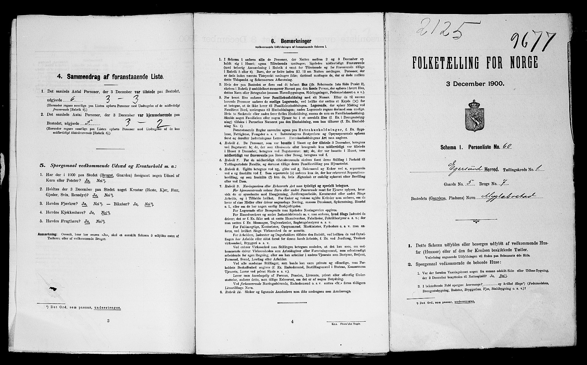 SAST, 1900 census for Eigersund herred, 1900, p. 31