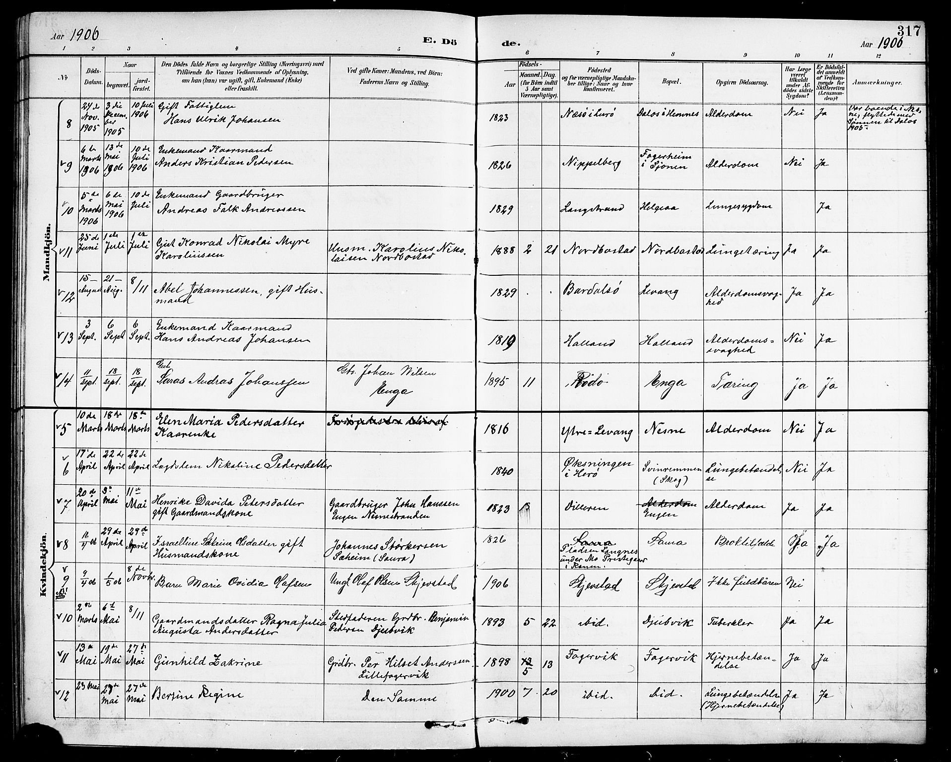 Ministerialprotokoller, klokkerbøker og fødselsregistre - Nordland, AV/SAT-A-1459/838/L0559: Parish register (copy) no. 838C06, 1893-1910, p. 317