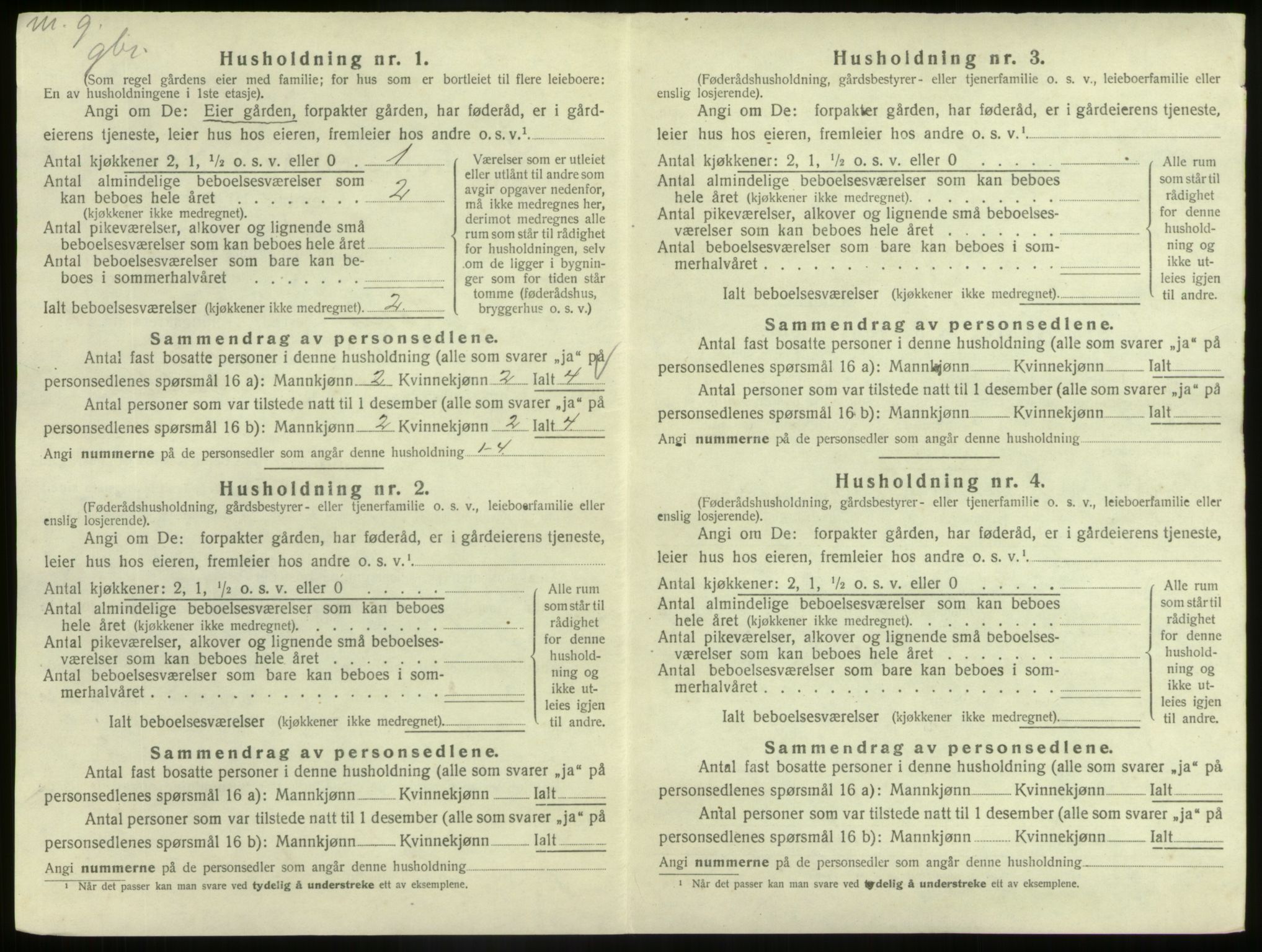 SAB, 1920 census for Hafslo, 1920, p. 45