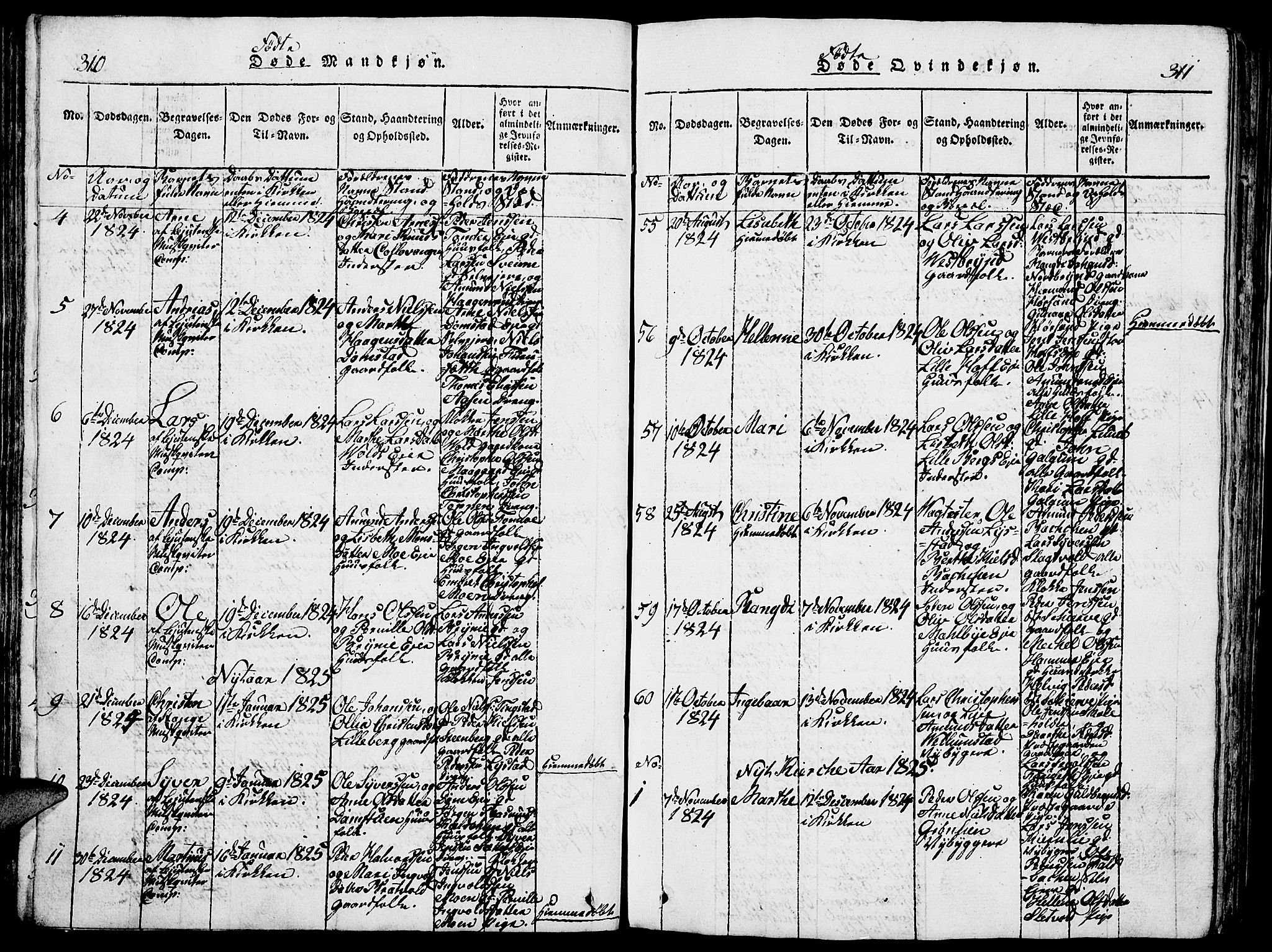 Romedal prestekontor, SAH/PREST-004/L/L0005: Parish register (copy) no. 5, 1814-1829, p. 310-311