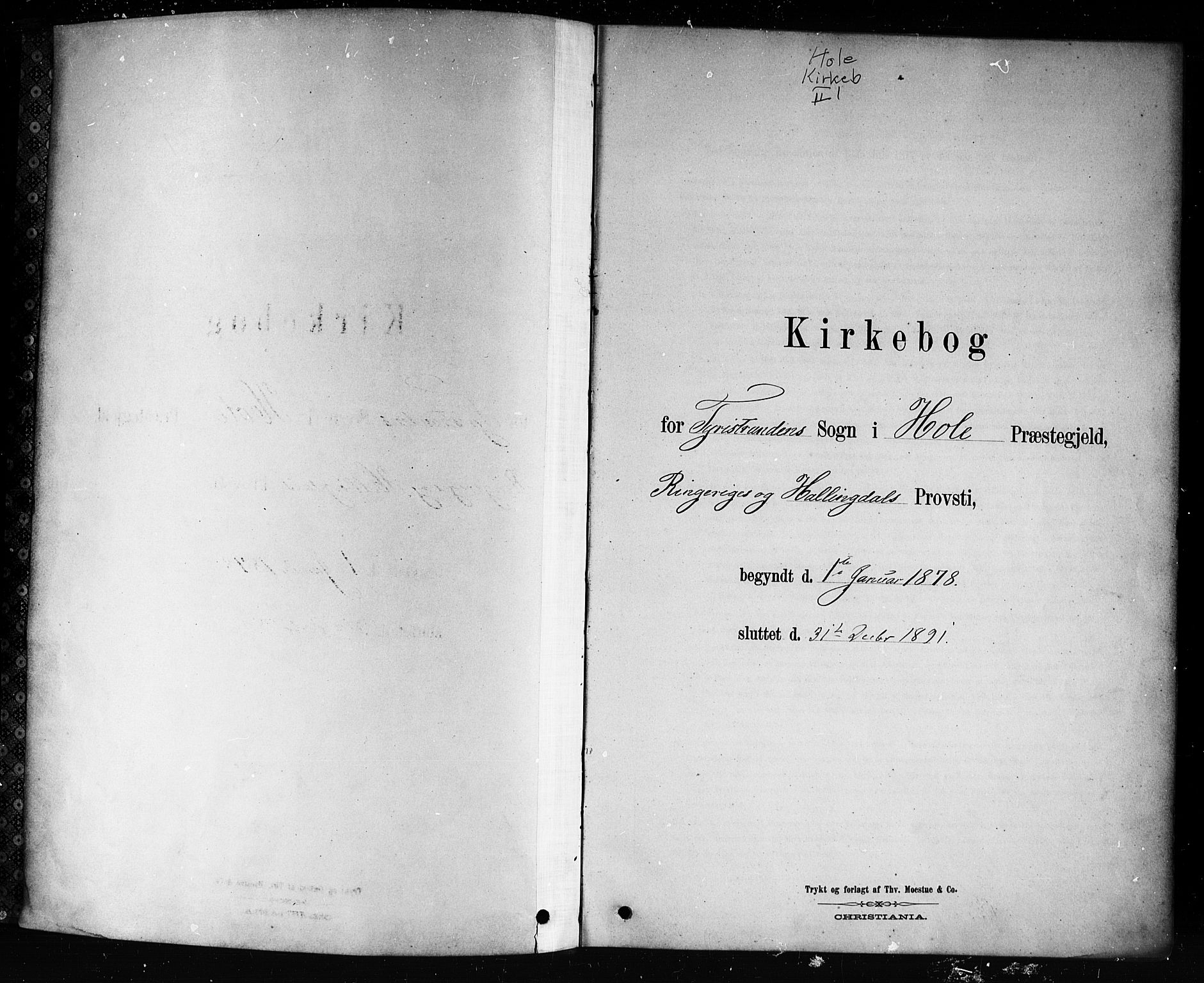 Hole kirkebøker, AV/SAKO-A-228/F/Fb/L0001: Parish register (official) no. II 1, 1878-1891