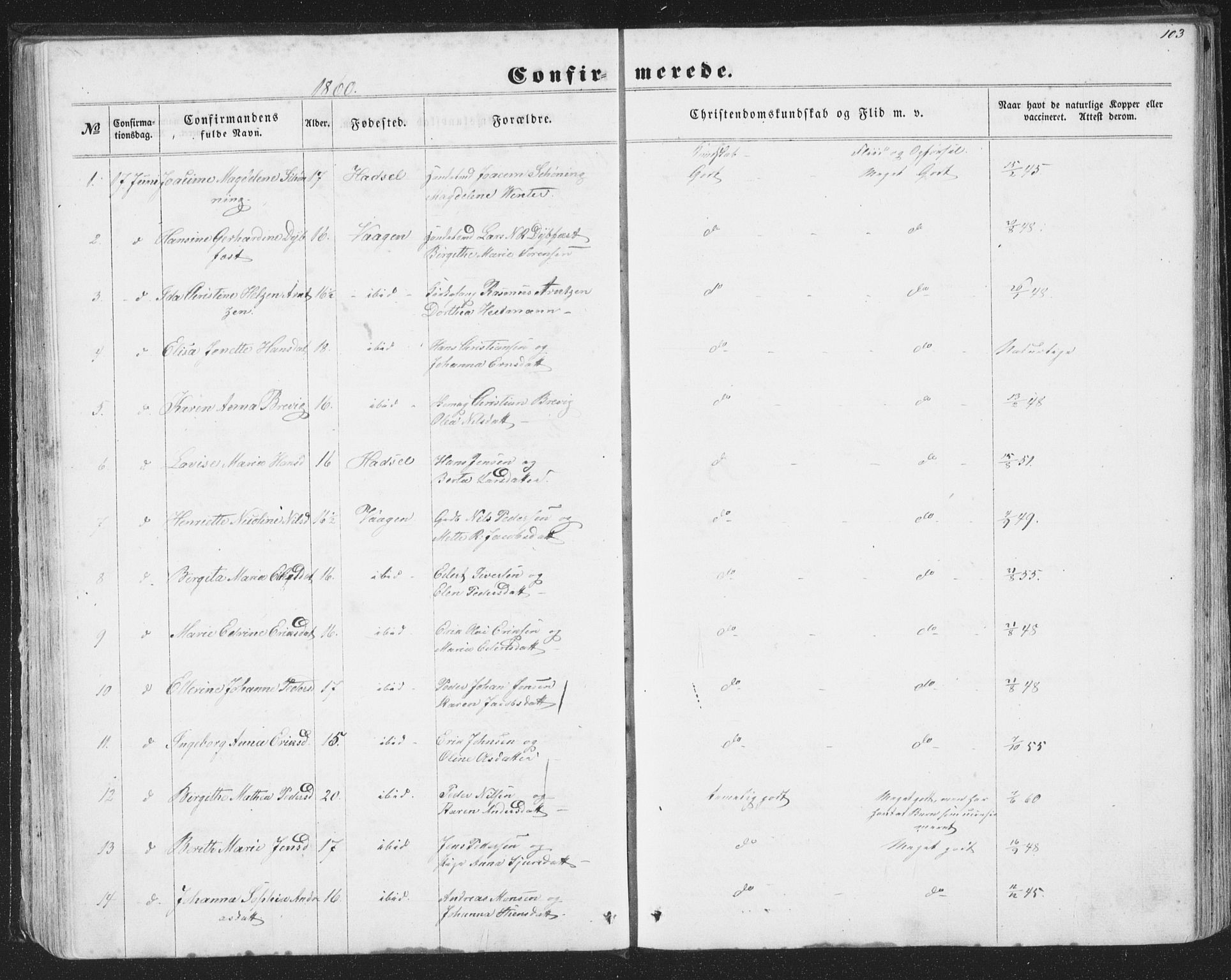 Ministerialprotokoller, klokkerbøker og fødselsregistre - Nordland, AV/SAT-A-1459/874/L1073: Parish register (copy) no. 874C02, 1860-1870, p. 103