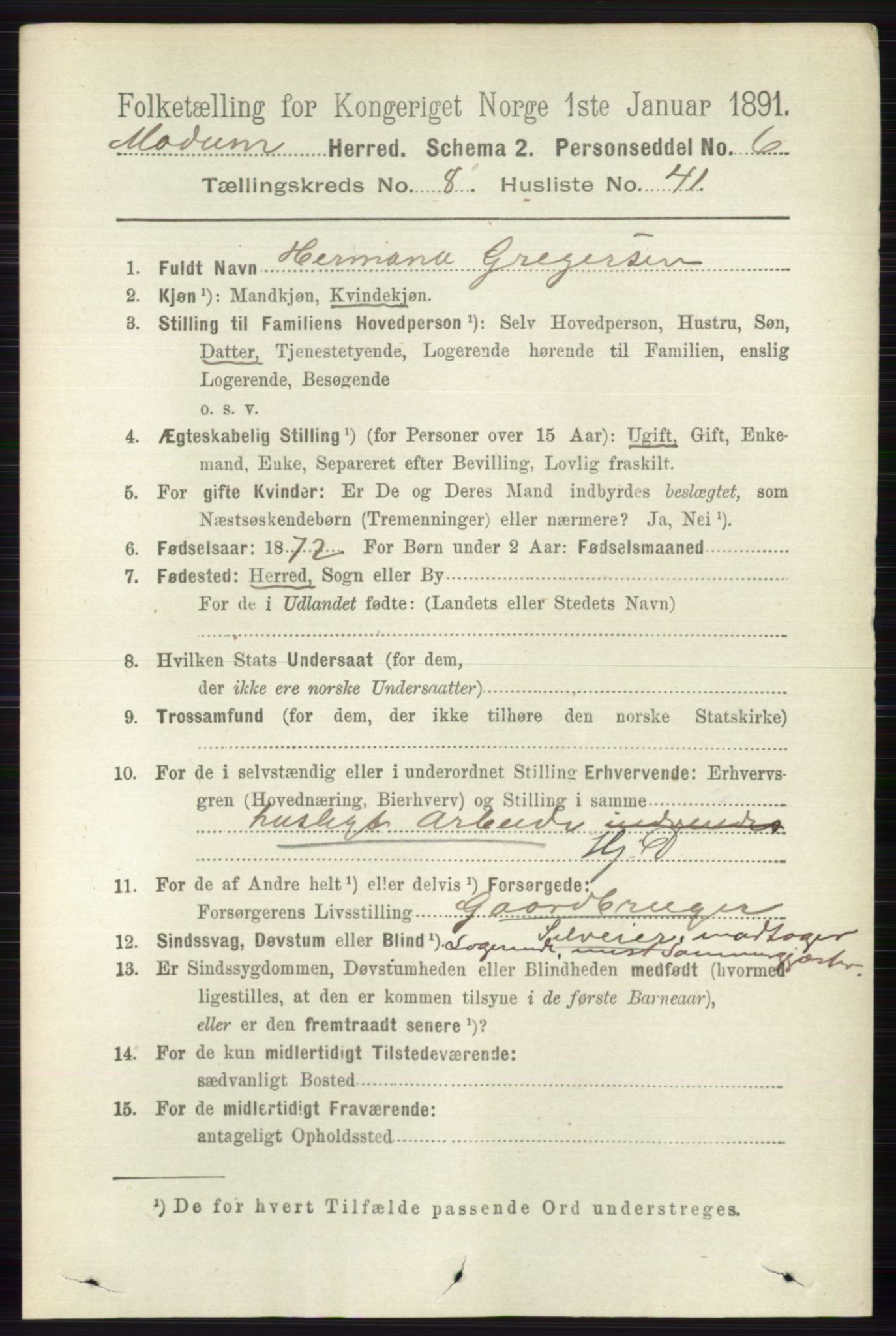 RA, 1891 census for 0623 Modum, 1891, p. 3104