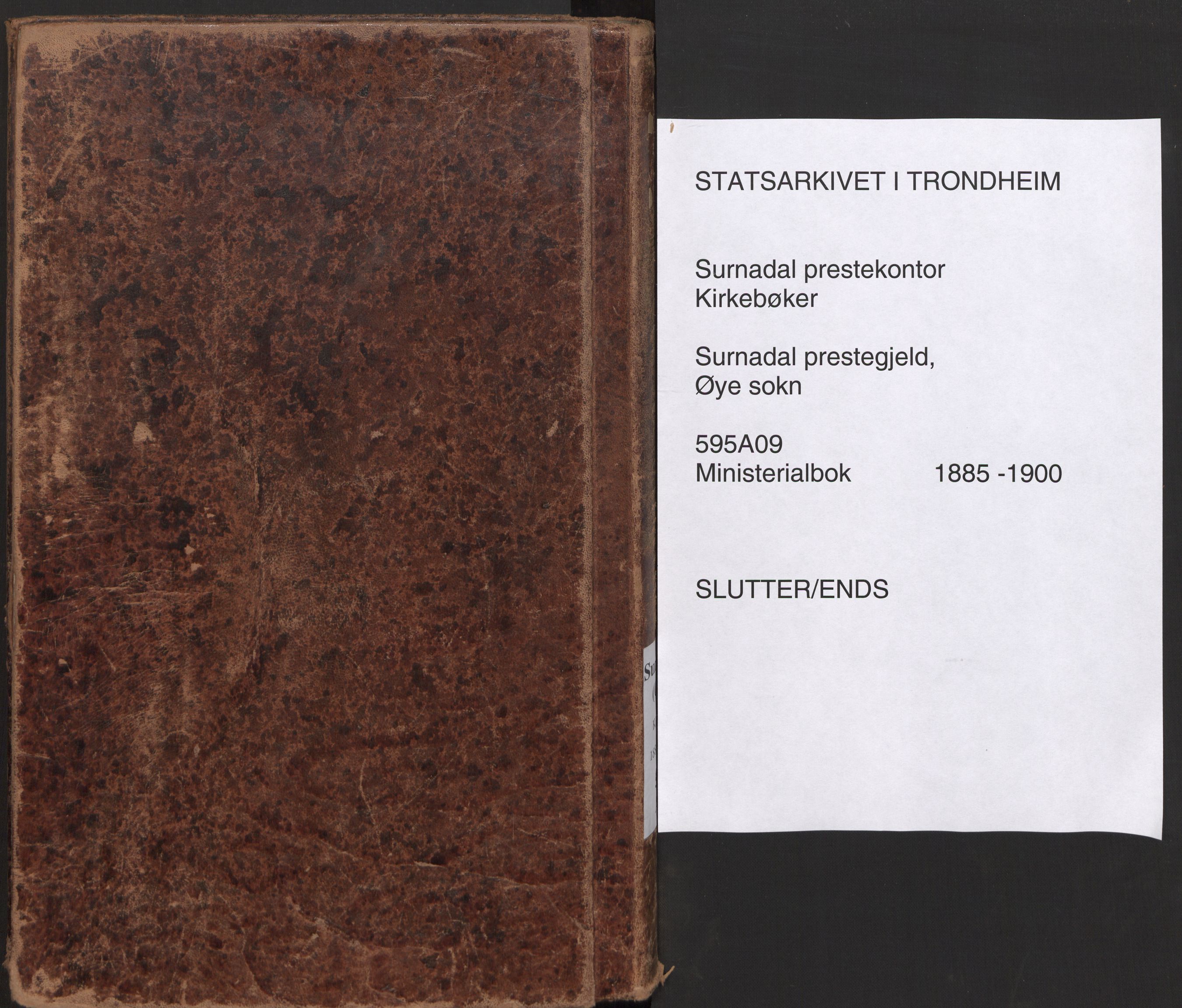 Ministerialprotokoller, klokkerbøker og fødselsregistre - Møre og Romsdal, AV/SAT-A-1454/595/L1047: Parish register (official) no. 595A09, 1885-1900