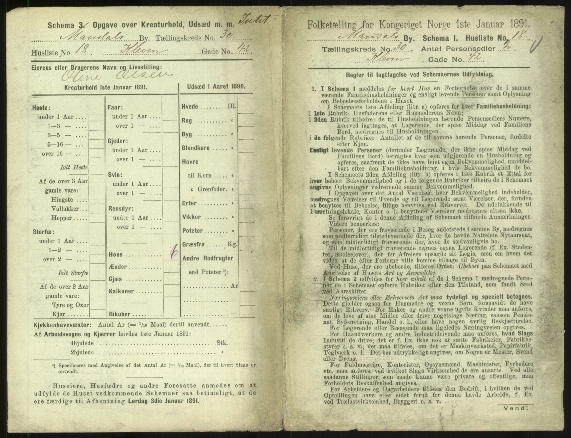 RA, 1891 census for 1002 Mandal, 1891, p. 1381