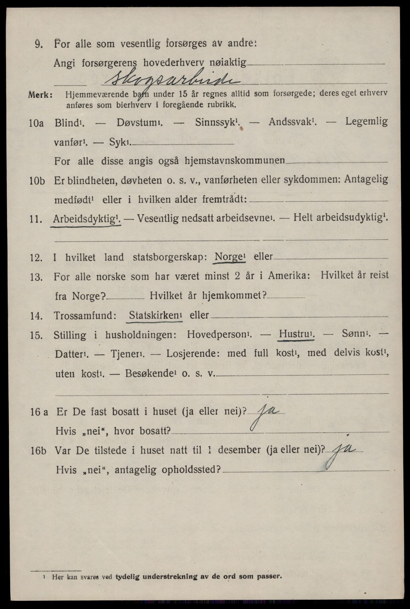 SAKO, 1920 census for Nissedal, 1920, p. 1848