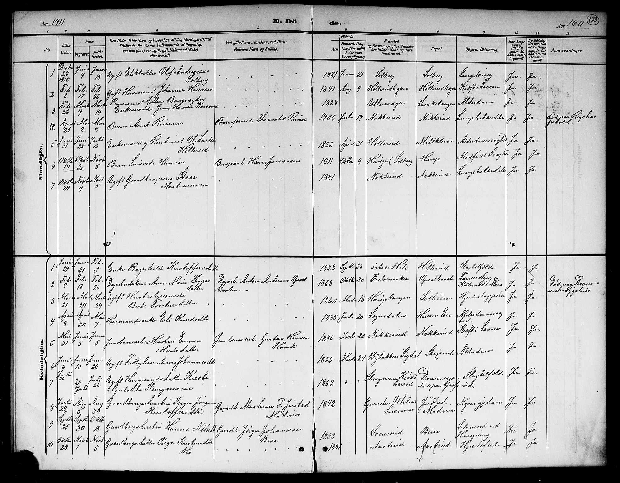 Hole kirkebøker, SAKO/A-228/G/Gb/L0004: Parish register (copy) no. II 4, 1901-1916, p. 133