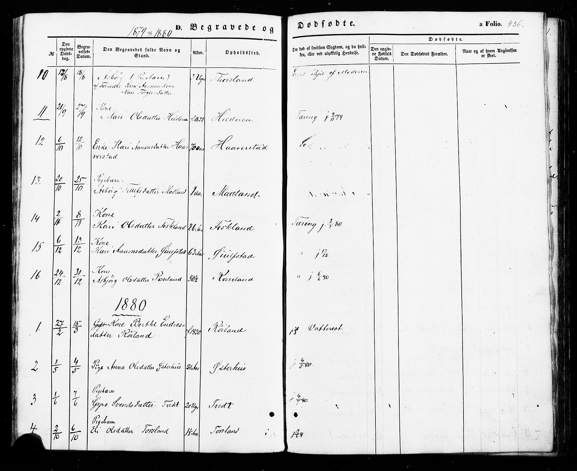 Åseral sokneprestkontor, SAK/1111-0051/F/Fa/L0002: Parish register (official) no. A 2, 1854-1884, p. 456