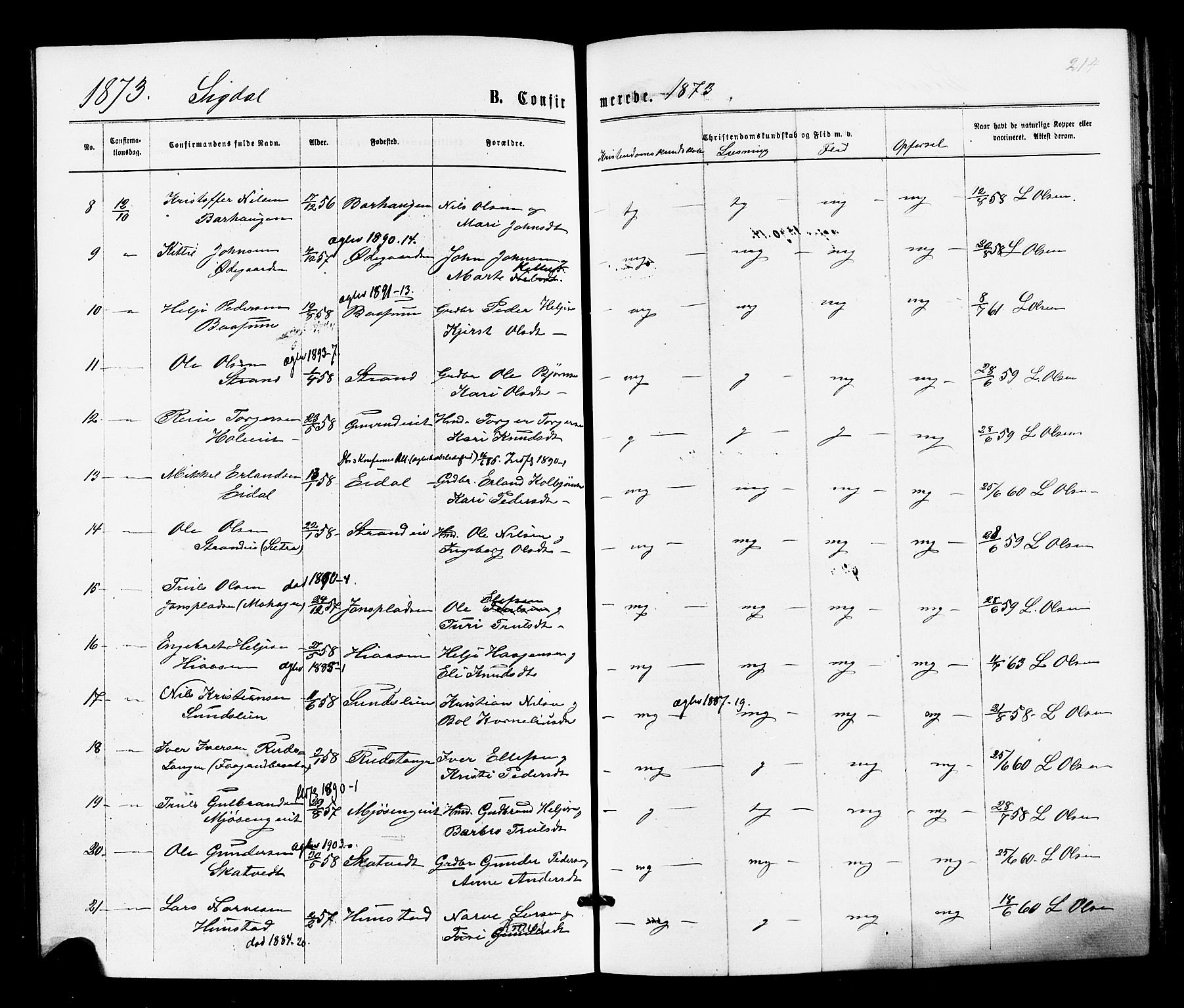 Sigdal kirkebøker, SAKO/A-245/F/Fa/L0010: Parish register (official) no. I 10 /1, 1872-1878, p. 214