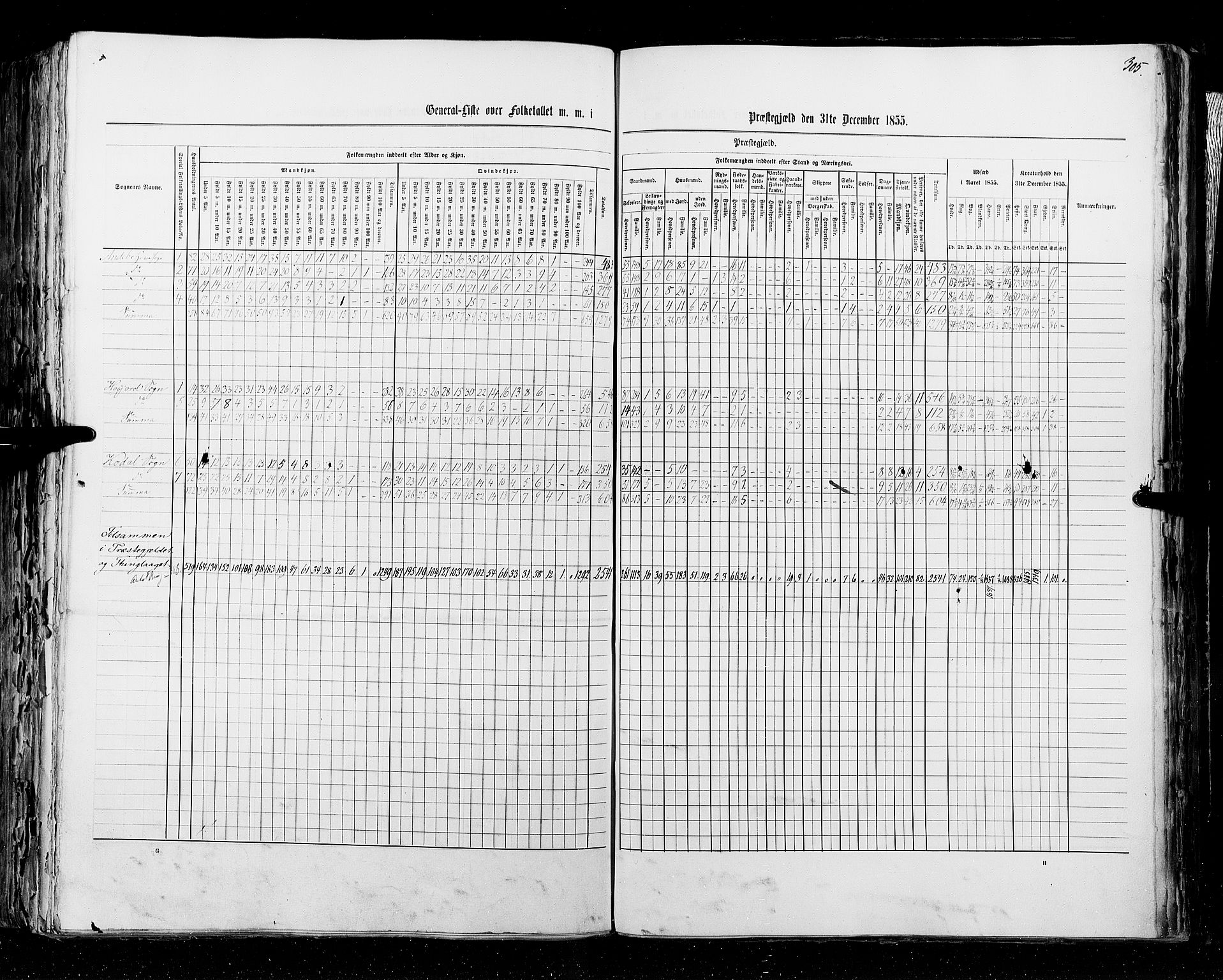 RA, Census 1855, vol. 2: Kristians amt, Buskerud amt og Jarlsberg og Larvik amt, 1855, p. 305