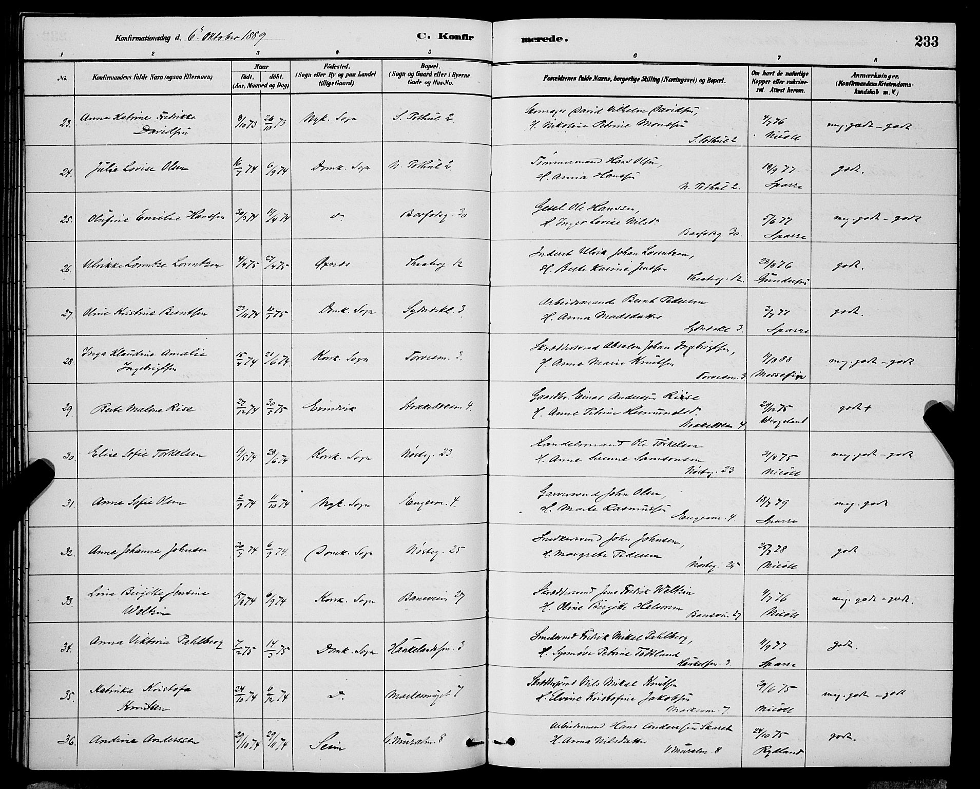 Domkirken sokneprestembete, SAB/A-74801/H/Hab/L0024: Parish register (copy) no. C 4, 1880-1899, p. 233