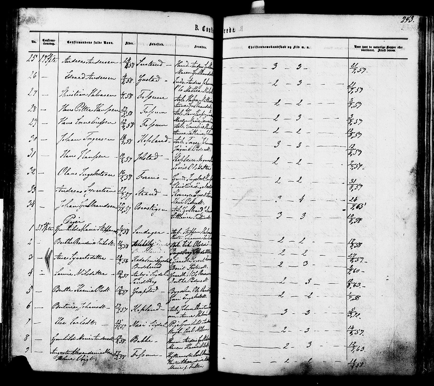 Modum kirkebøker, SAKO/A-234/F/Fa/L0010: Parish register (official) no. 10, 1865-1876, p. 243