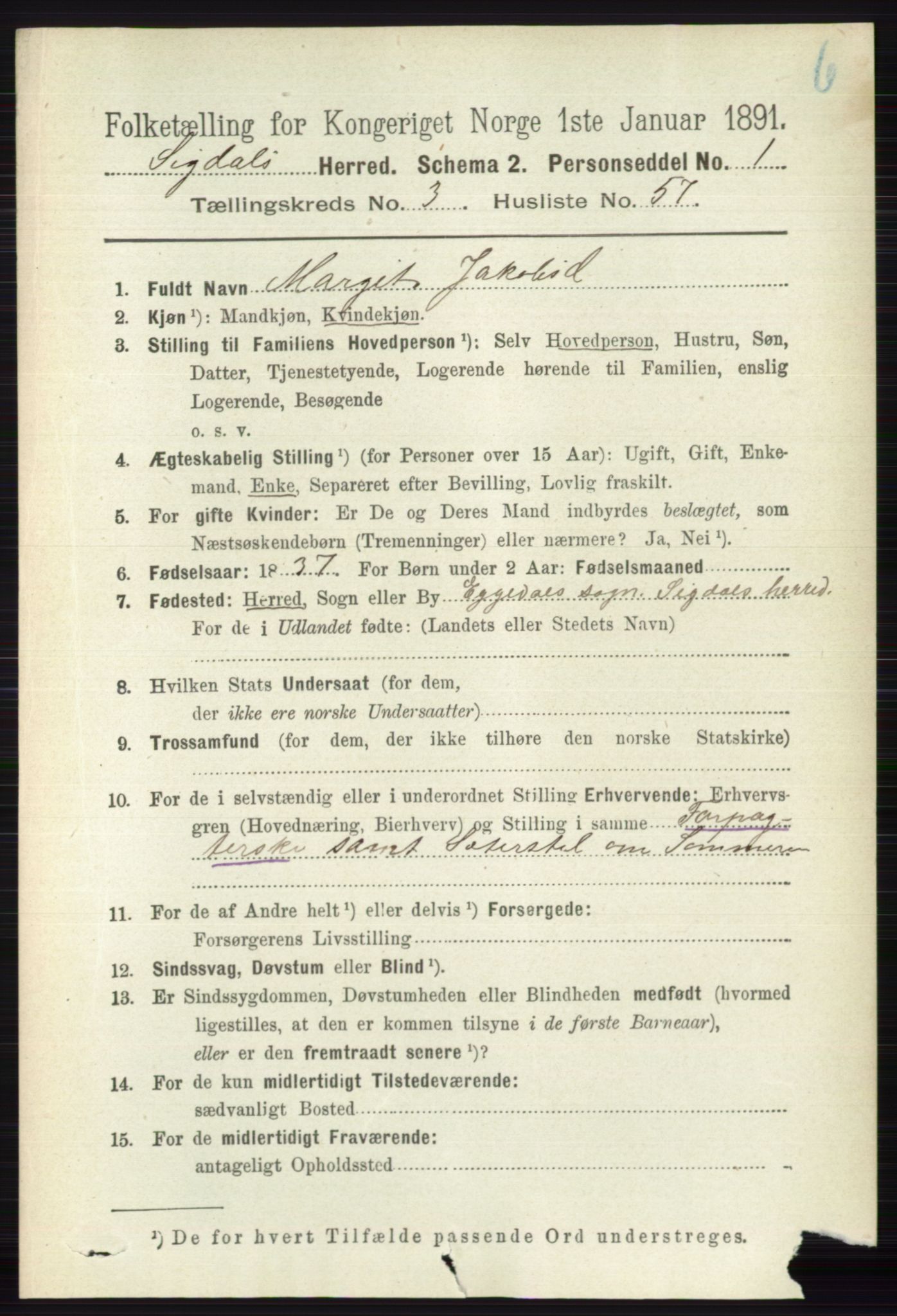 RA, 1891 census for 0621 Sigdal, 1891, p. 4619