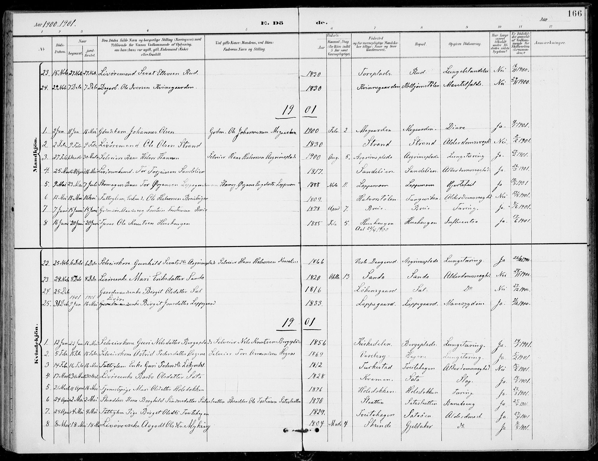 Ål kirkebøker, SAKO/A-249/F/Fa/L0009: Parish register (official) no. I 9, 1897-1915, p. 166