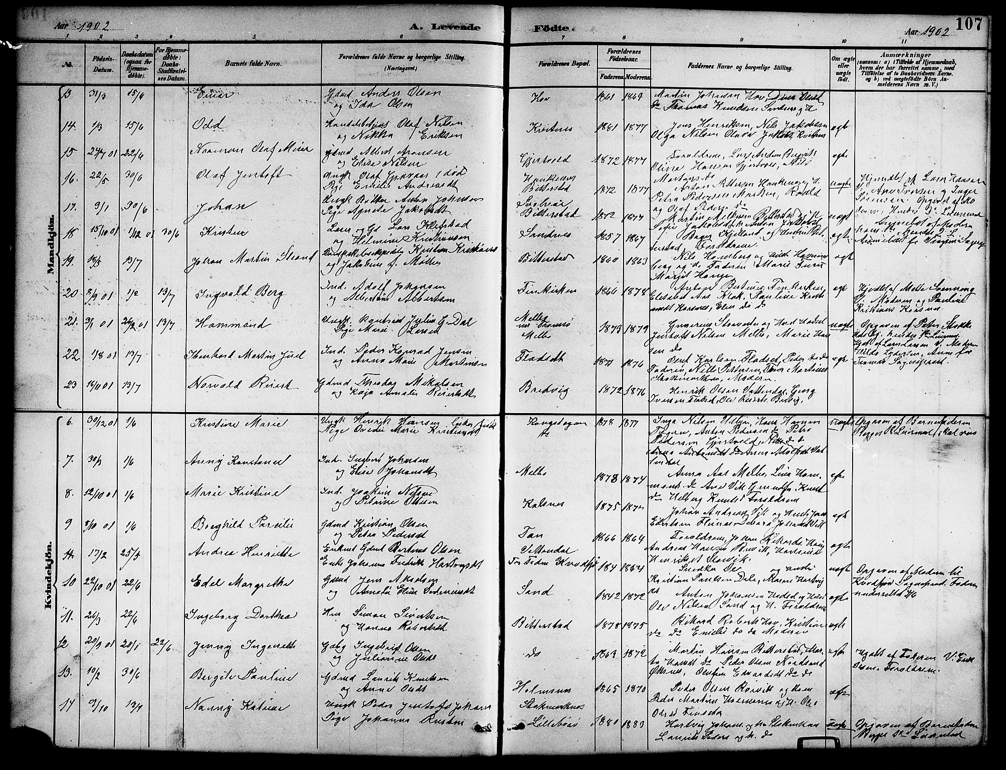 Ministerialprotokoller, klokkerbøker og fødselsregistre - Nordland, SAT/A-1459/888/L1268: Parish register (copy) no. 888C06, 1891-1908, p. 107