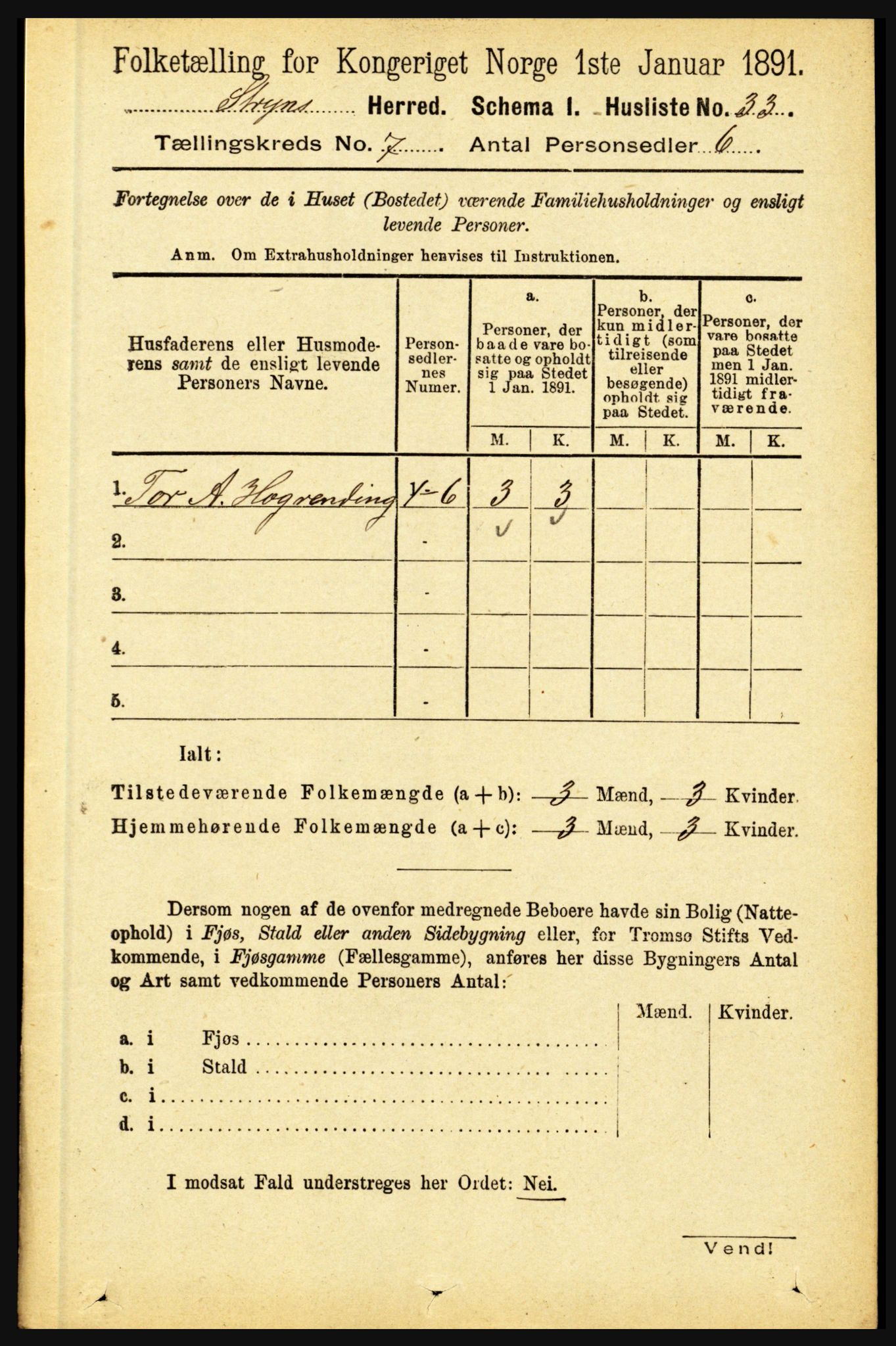 RA, 1891 census for 1448 Stryn, 1891, p. 2805