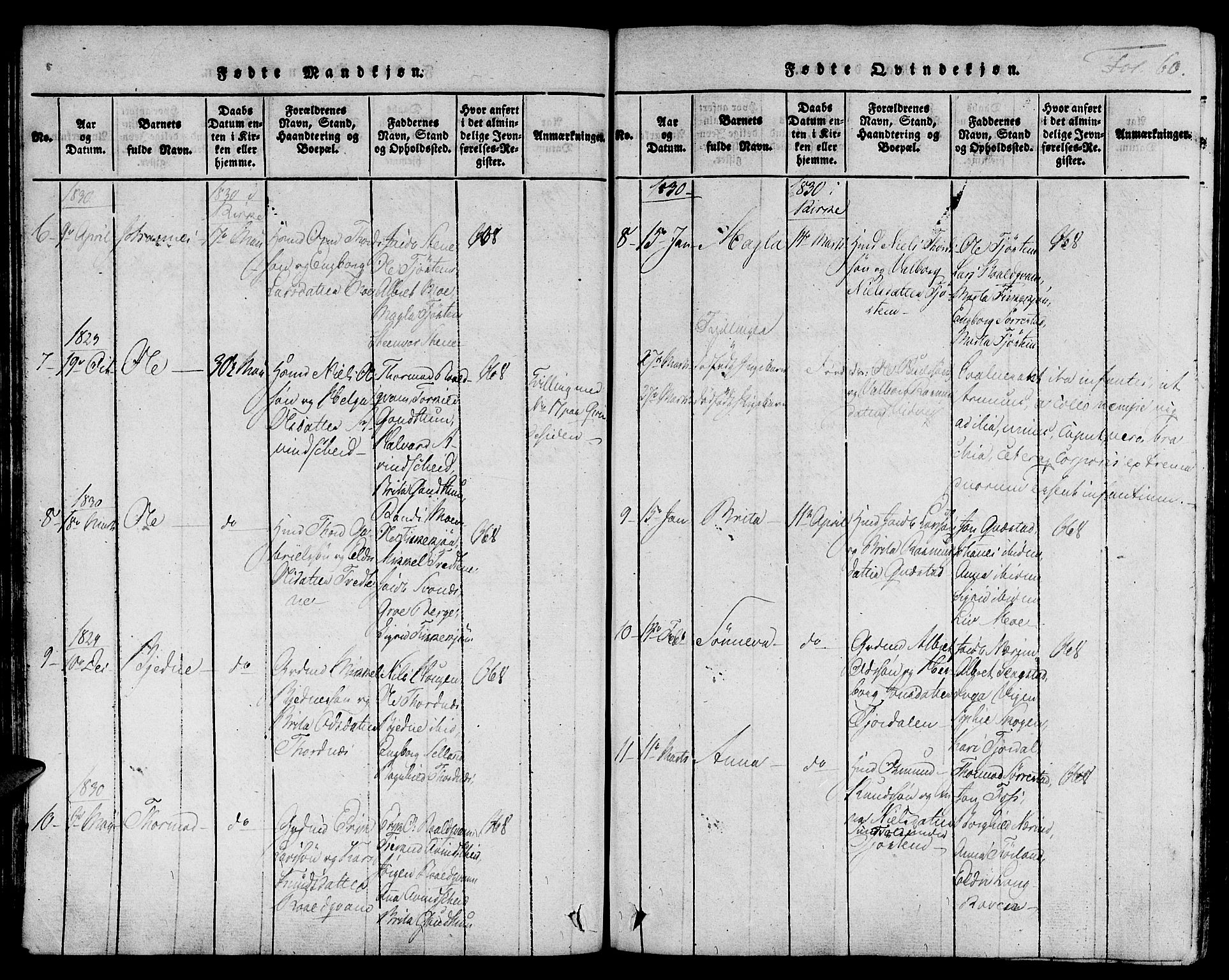 Suldal sokneprestkontor, AV/SAST-A-101845/01/IV/L0006: Parish register (official) no. A 6, 1816-1836, p. 60