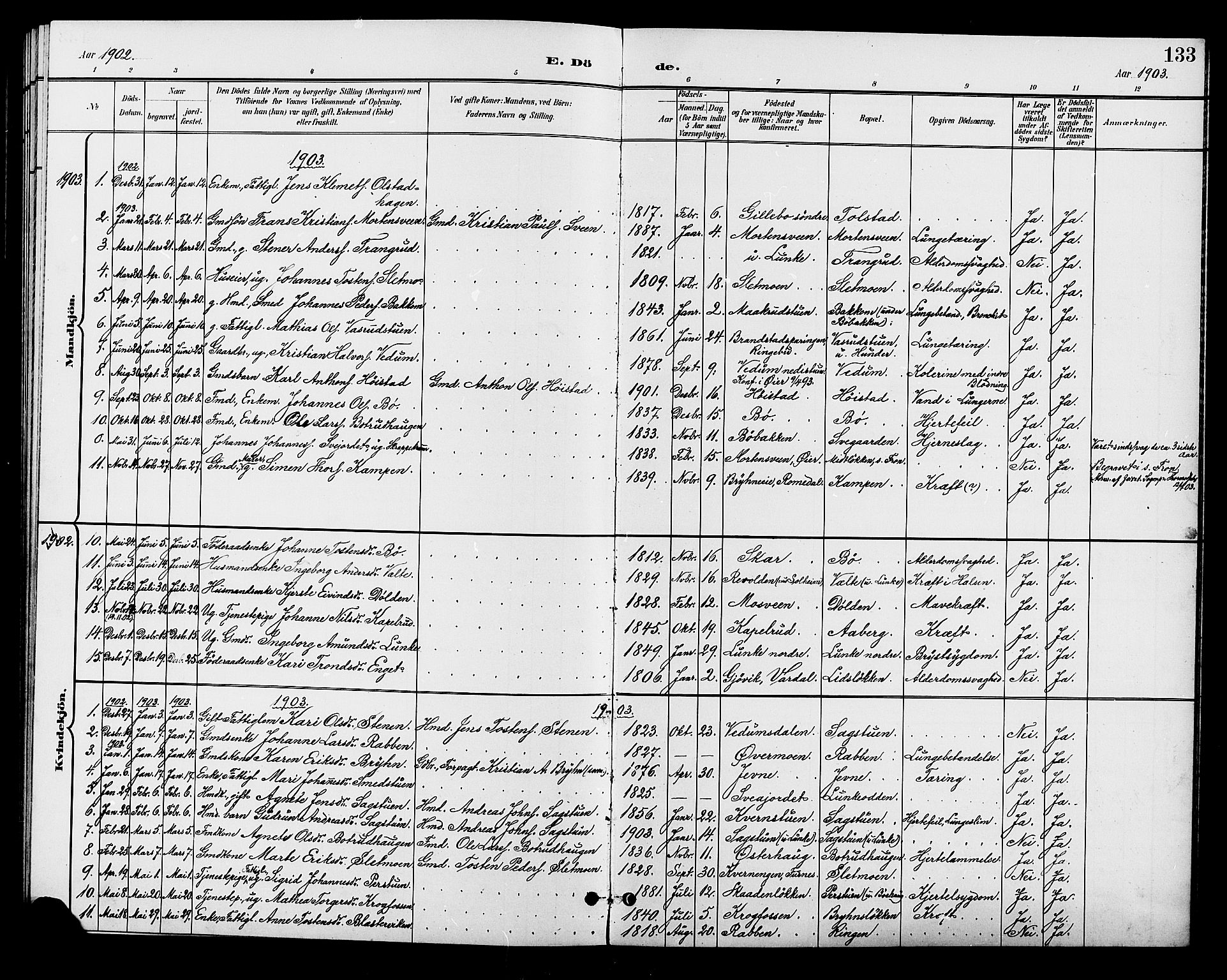 Øyer prestekontor, SAH/PREST-084/H/Ha/Hab/L0005: Parish register (copy) no. 5, 1897-1913, p. 133