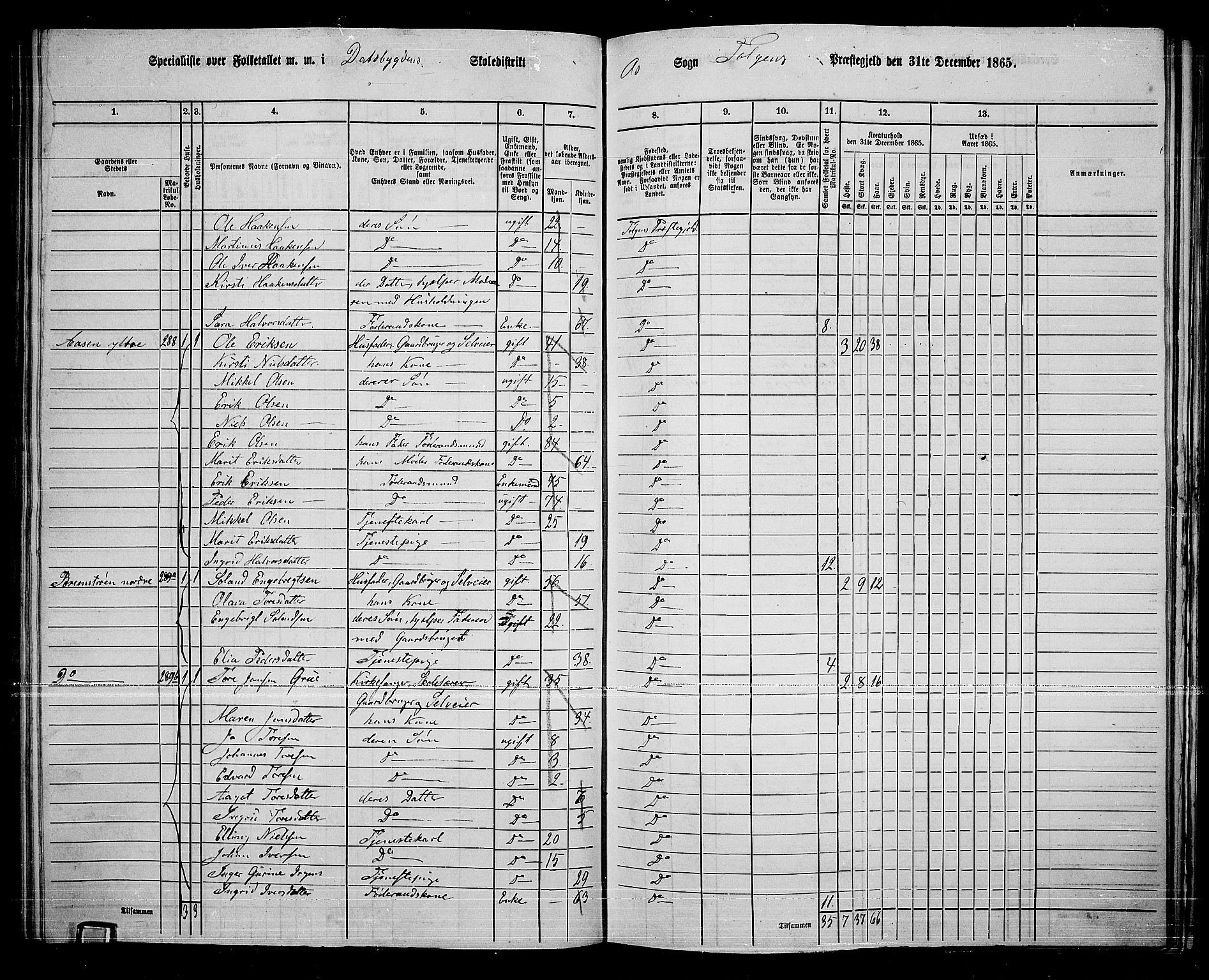 RA, 1865 census for Tolga, 1865, p. 121