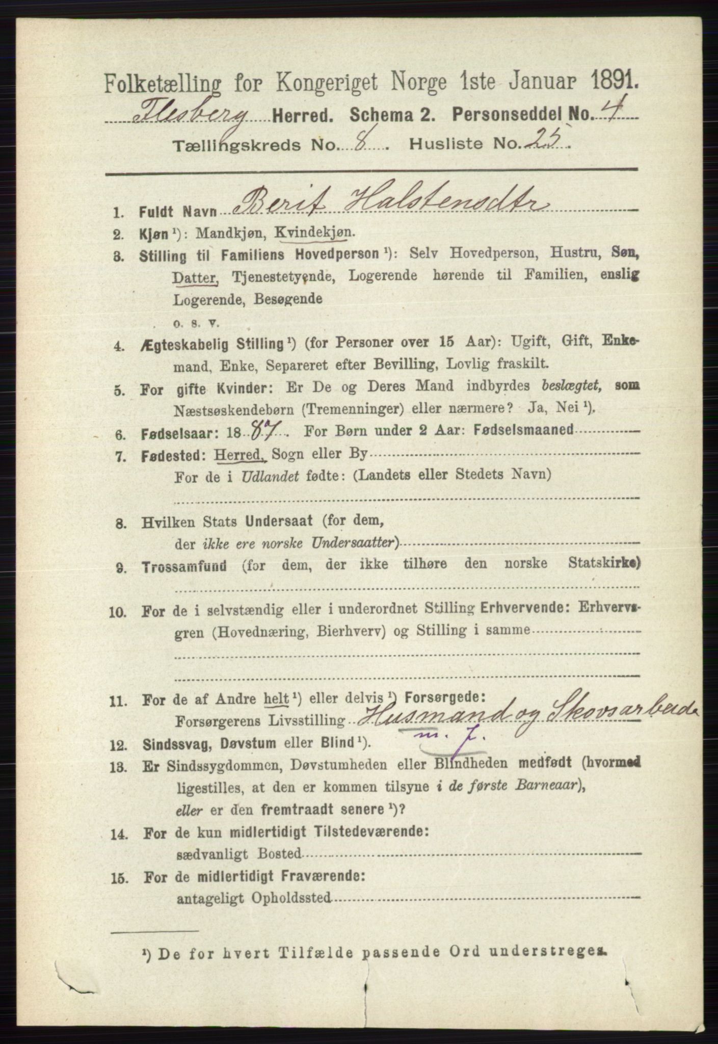 RA, 1891 census for 0631 Flesberg, 1891, p. 1487