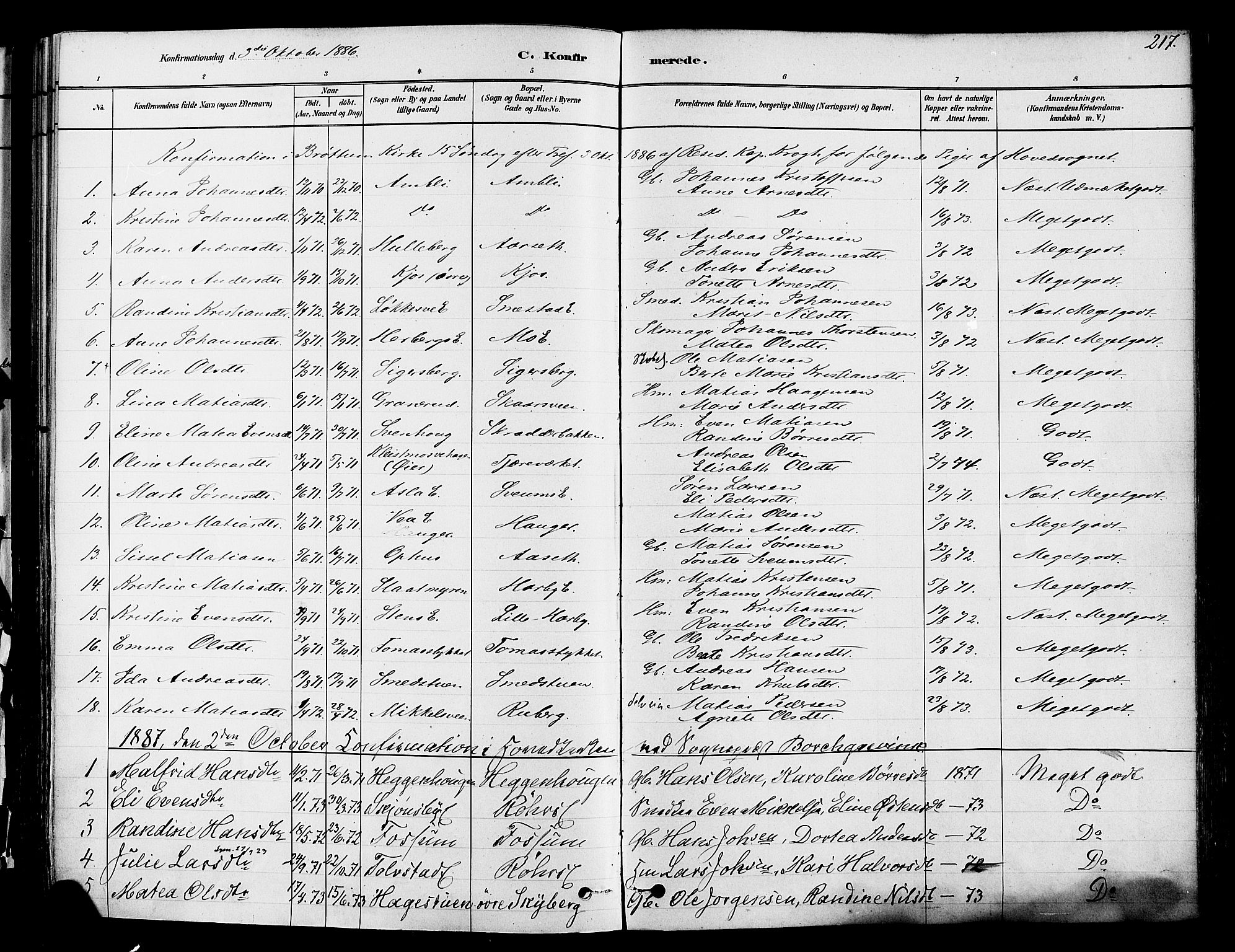 Ringsaker prestekontor, SAH/PREST-014/K/Ka/L0012: Parish register (official) no. 12, 1879-1890, p. 217