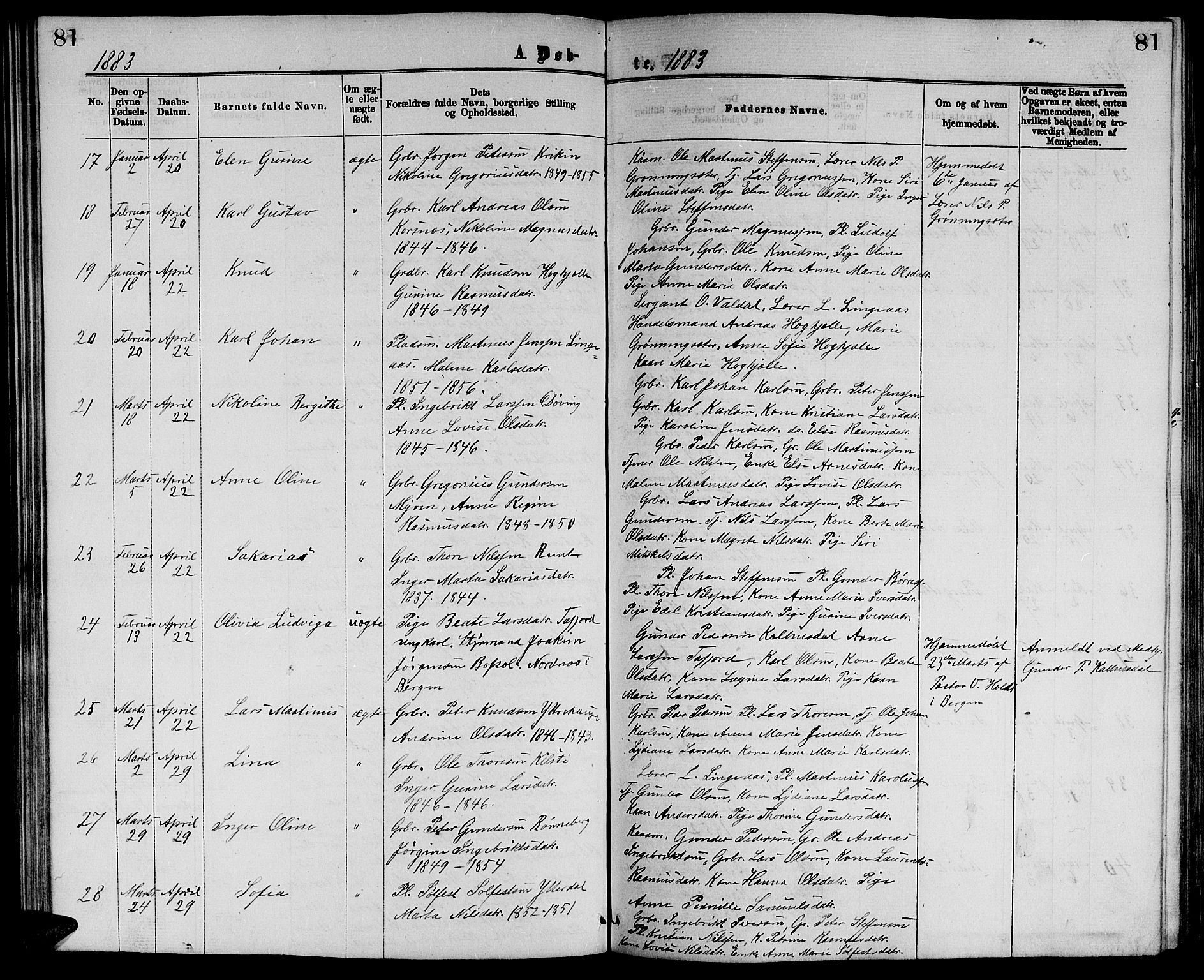 Ministerialprotokoller, klokkerbøker og fødselsregistre - Møre og Romsdal, SAT/A-1454/519/L0262: Parish register (copy) no. 519C03, 1866-1884, p. 81