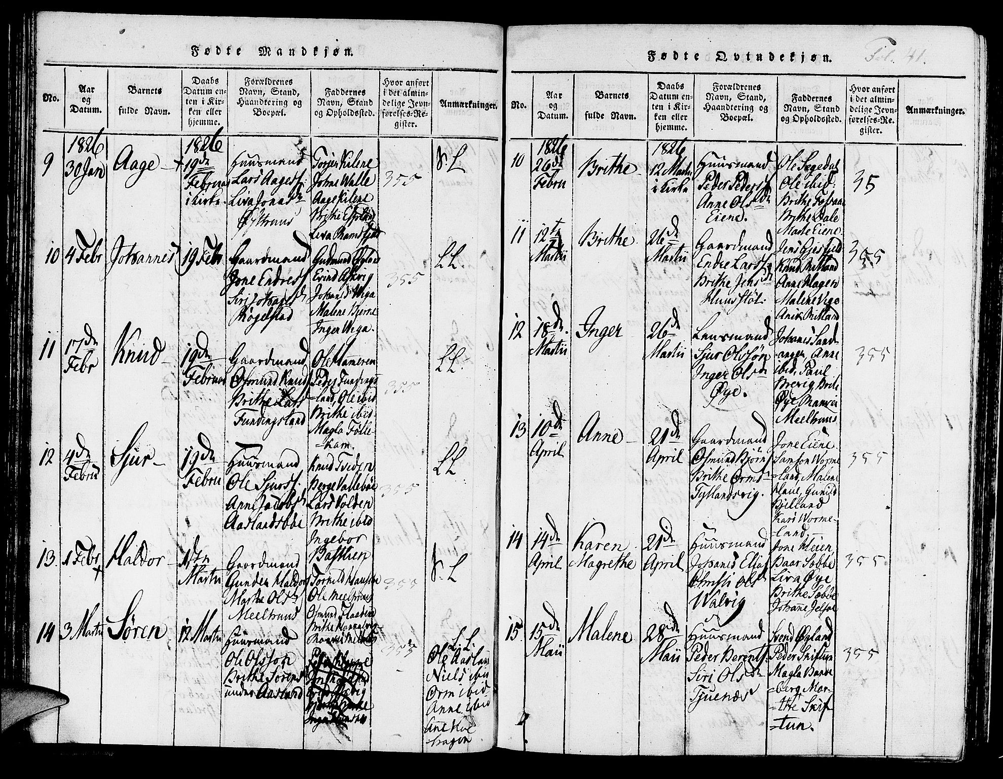 Hjelmeland sokneprestkontor, AV/SAST-A-101843/01/IV/L0003: Parish register (official) no. A 3, 1816-1834, p. 41