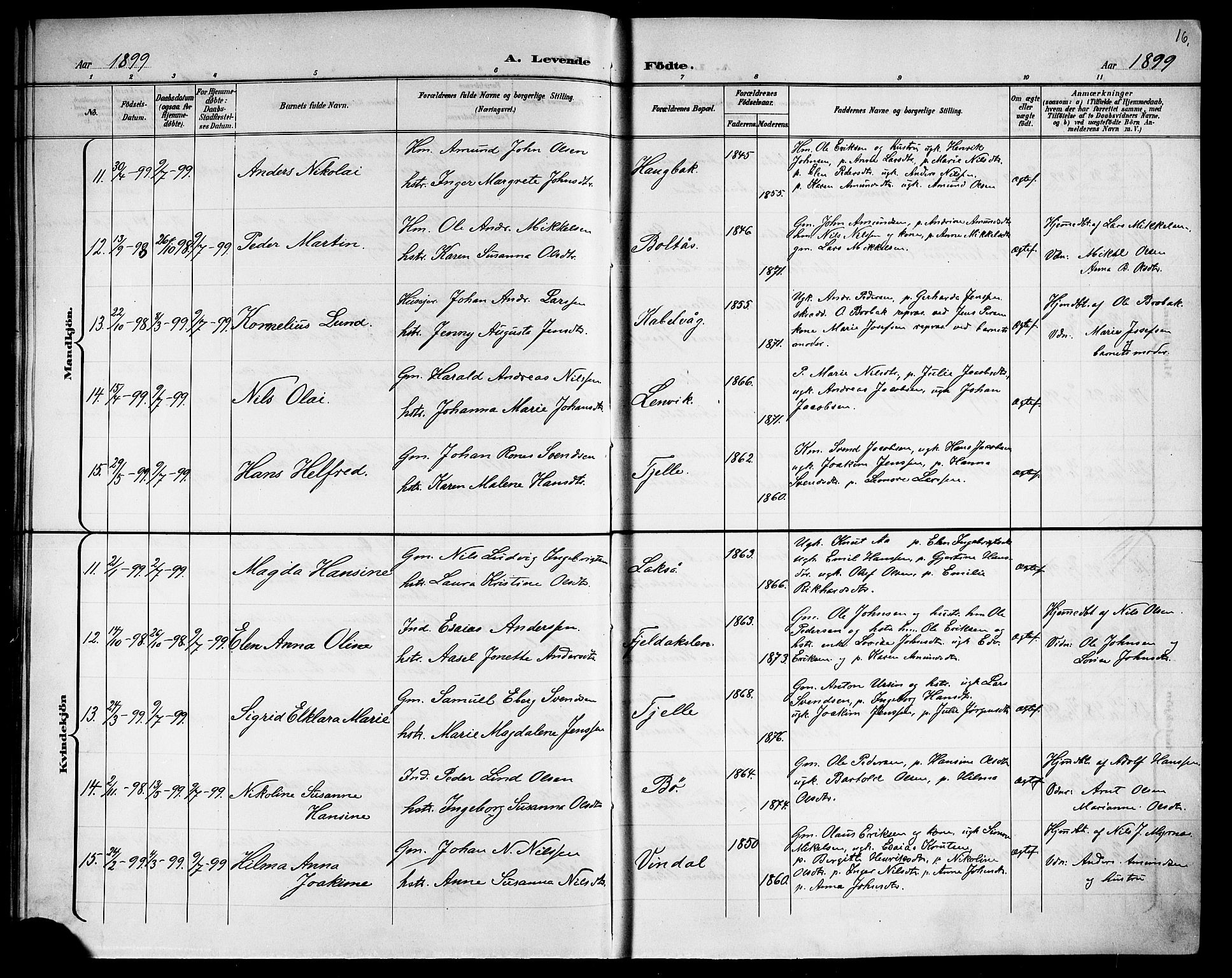 Ministerialprotokoller, klokkerbøker og fødselsregistre - Nordland, AV/SAT-A-1459/863/L0915: Parish register (copy) no. 863C05, 1898-1907, p. 16