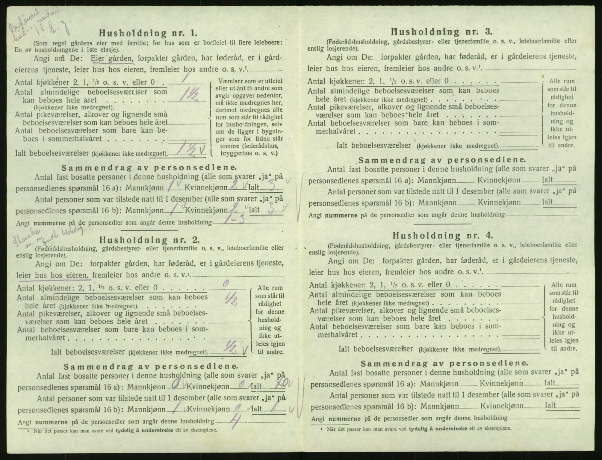 SAK, 1920 census for Hornnes, 1920, p. 138
