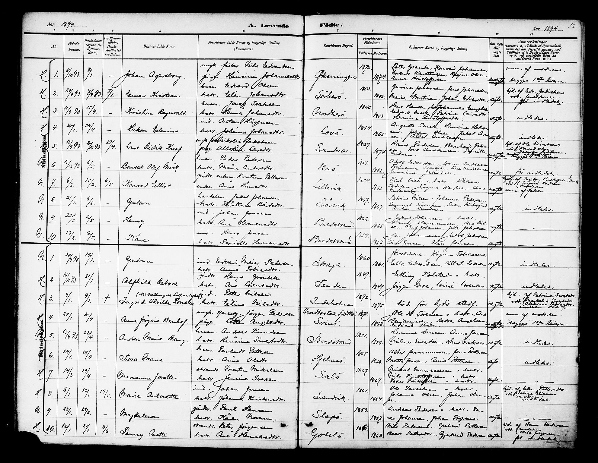 Ministerialprotokoller, klokkerbøker og fødselsregistre - Nordland, SAT/A-1459/834/L0508: Parish register (official) no. 834A06, 1892-1901, p. 12