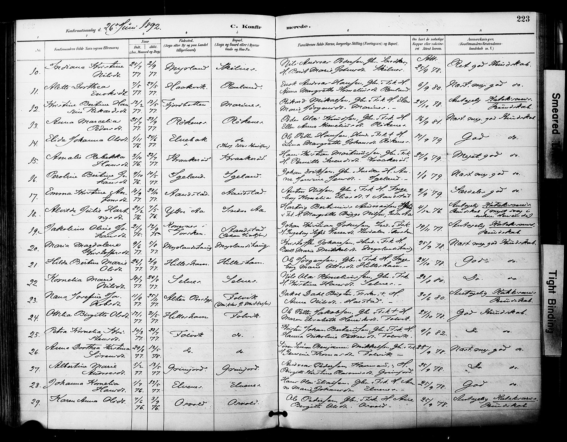 Ibestad sokneprestembete, SATØ/S-0077/H/Ha/Haa/L0012kirke: Parish register (official) no. 12, 1890-1900, p. 223