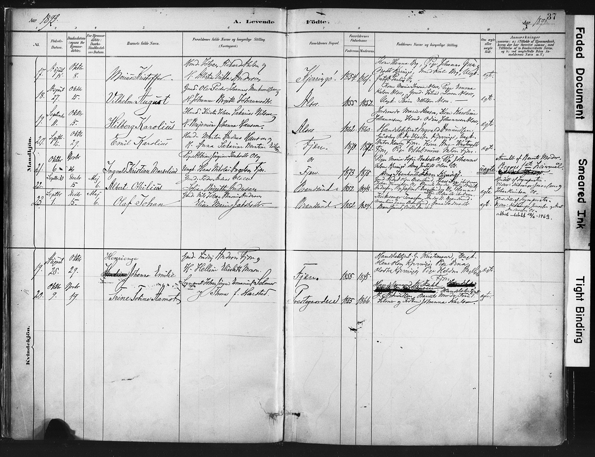 Ministerialprotokoller, klokkerbøker og fødselsregistre - Nordland, AV/SAT-A-1459/803/L0071: Parish register (official) no. 803A01, 1881-1897, p. 37