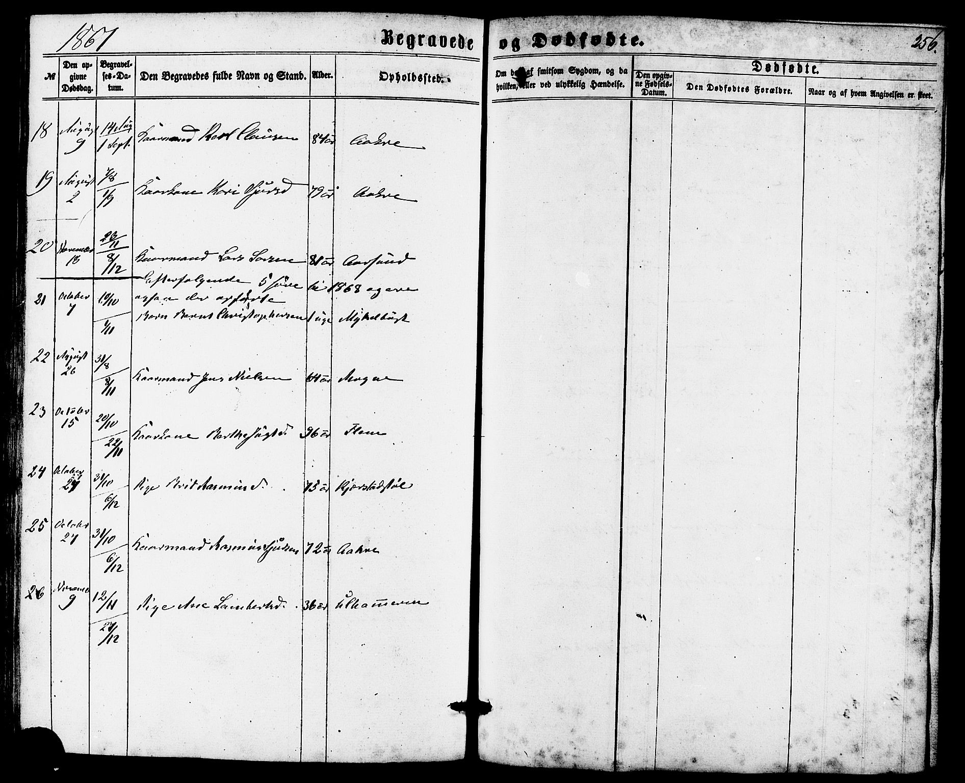 Ministerialprotokoller, klokkerbøker og fødselsregistre - Møre og Romsdal, SAT/A-1454/536/L0498: Parish register (official) no. 536A07, 1862-1875, p. 256