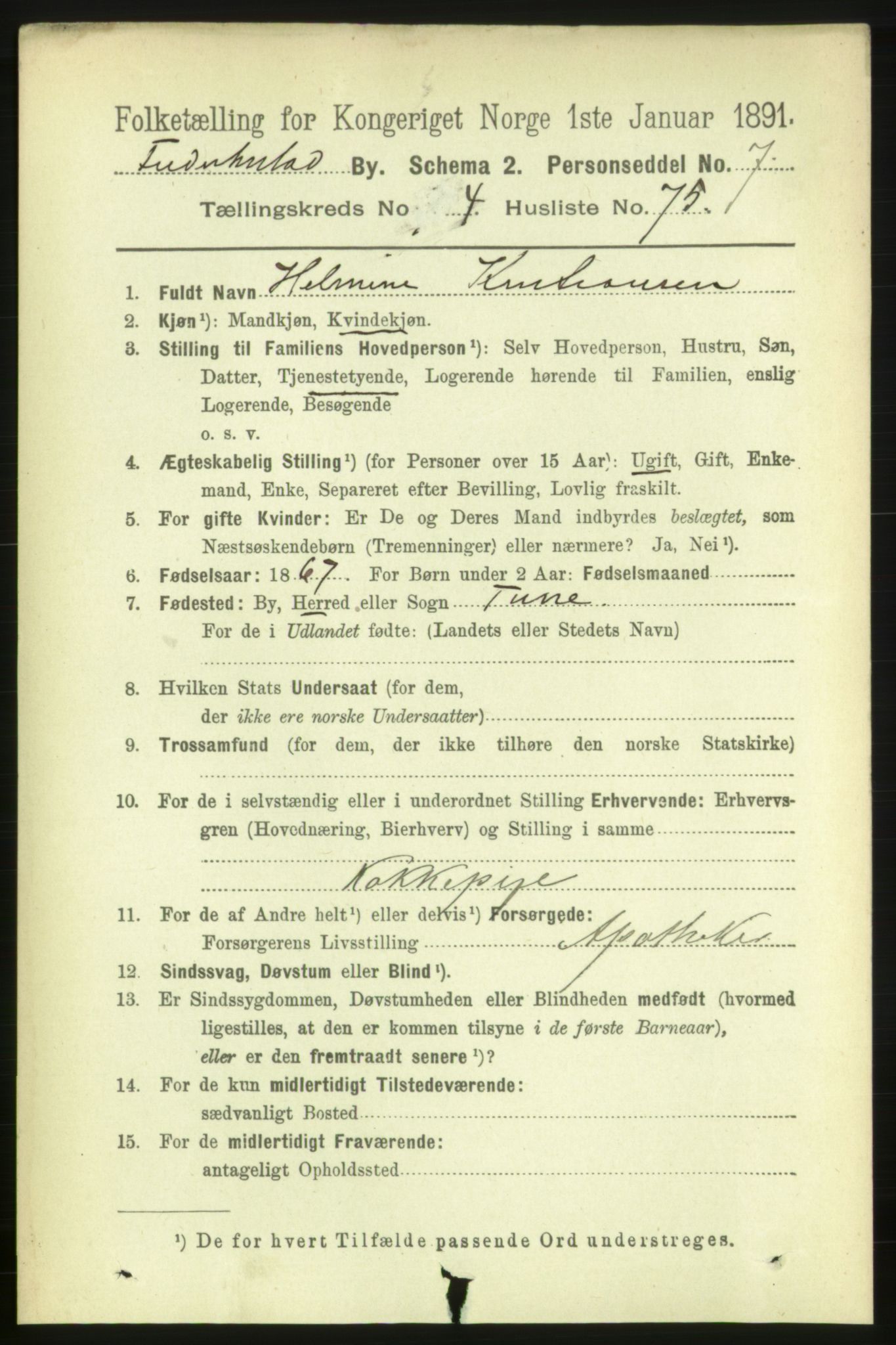 RA, 1891 census for 0103 Fredrikstad, 1891, p. 6828